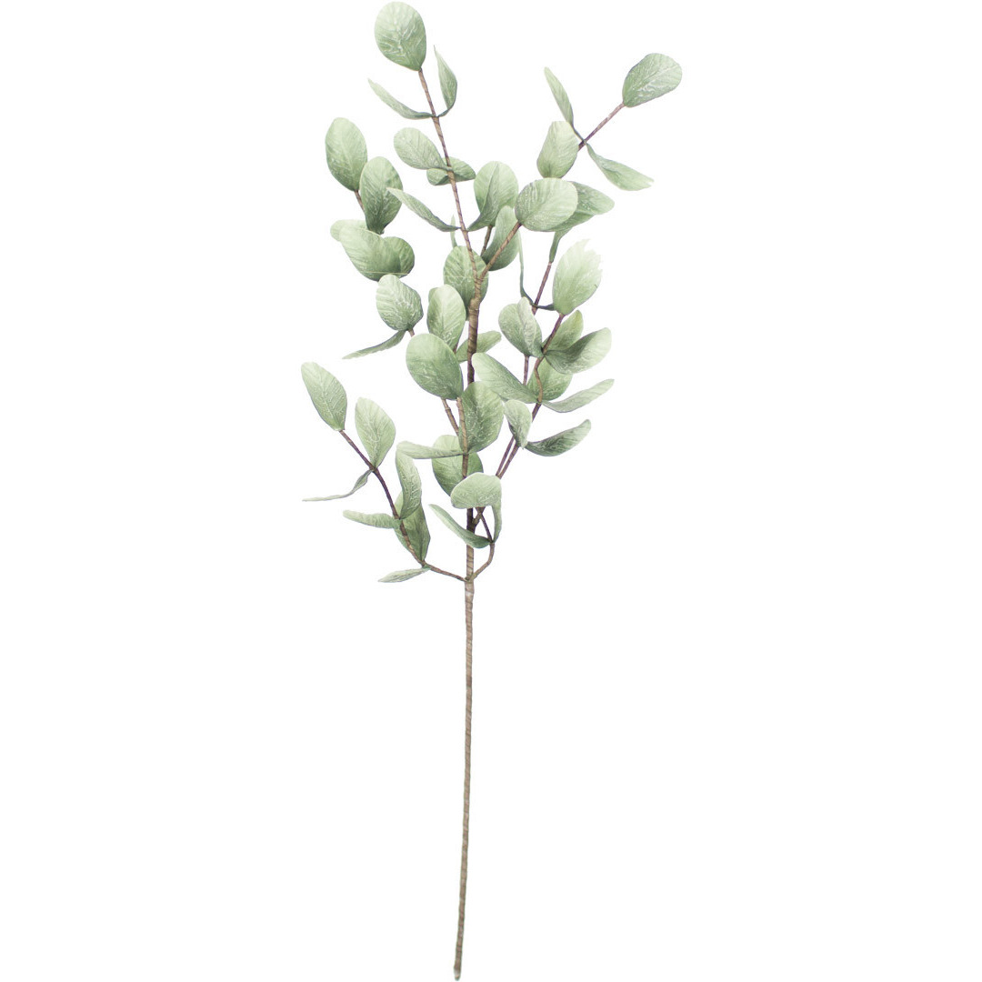 BOTANICA 875