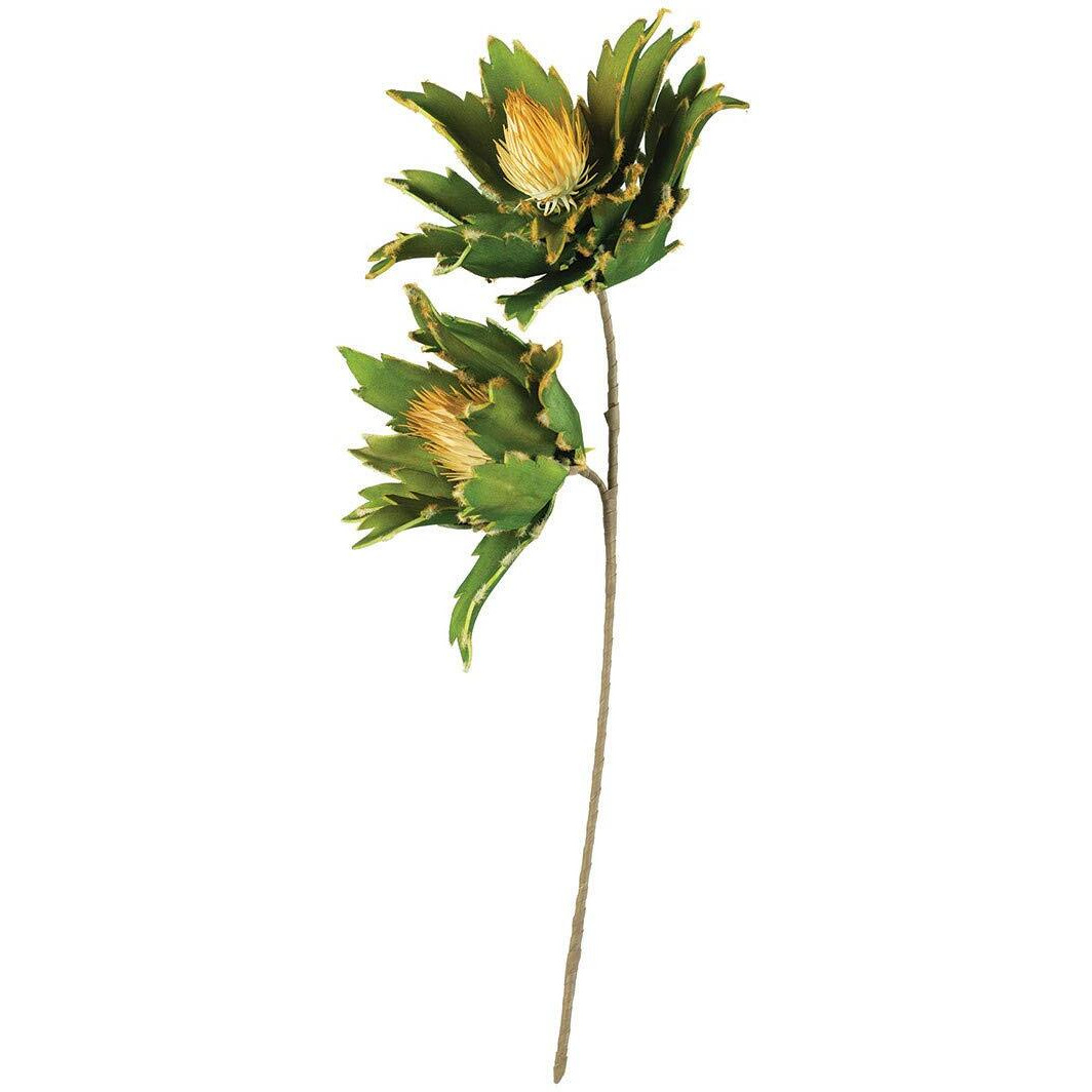 BOTANICA 3167