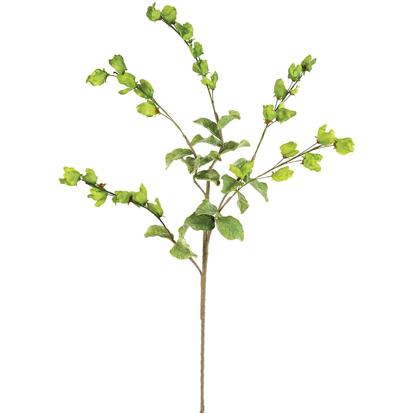 BOTANICA 3187