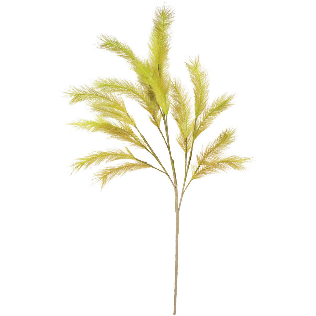 BOTANICA 3290