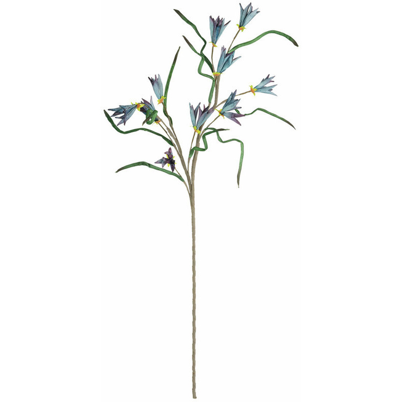 BOTANICA 3384