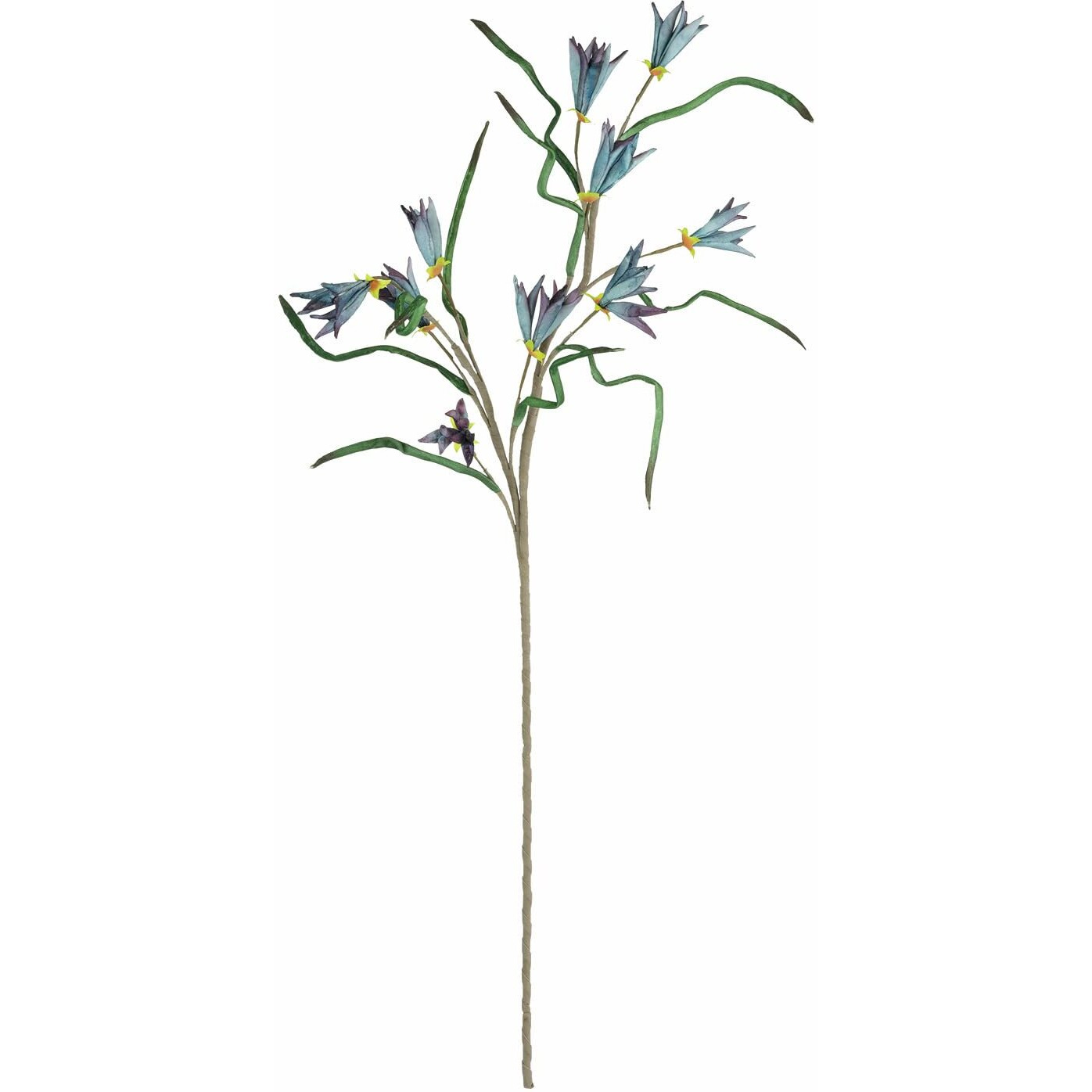 BOTANICA 3384