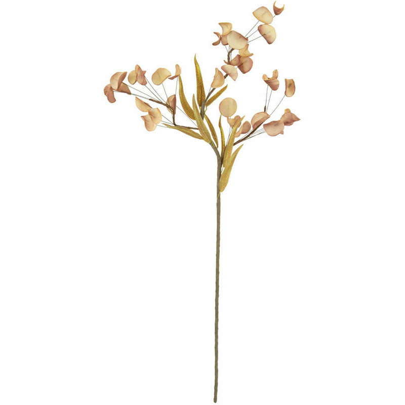BOTANICA 3430
