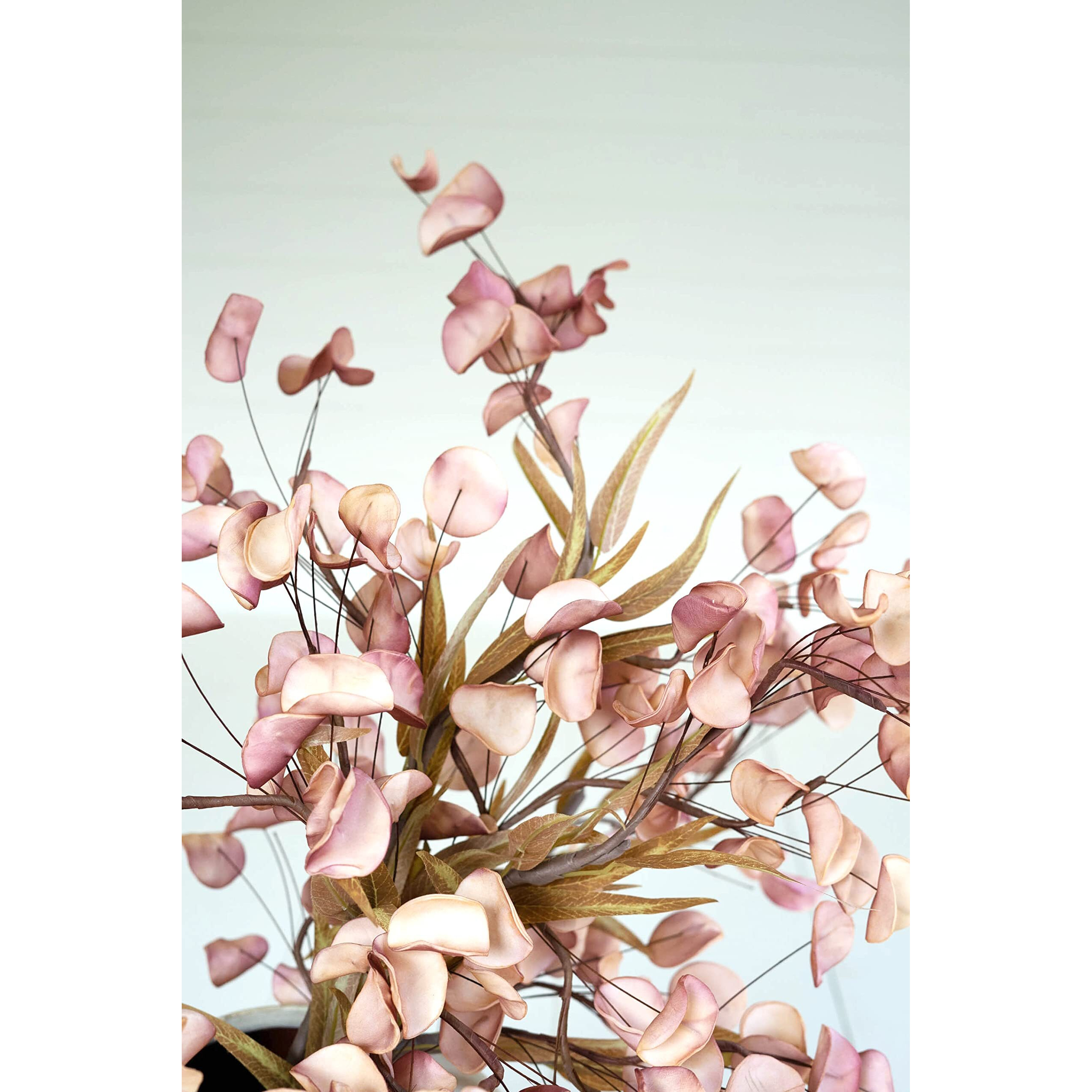 BOTANICA 3430