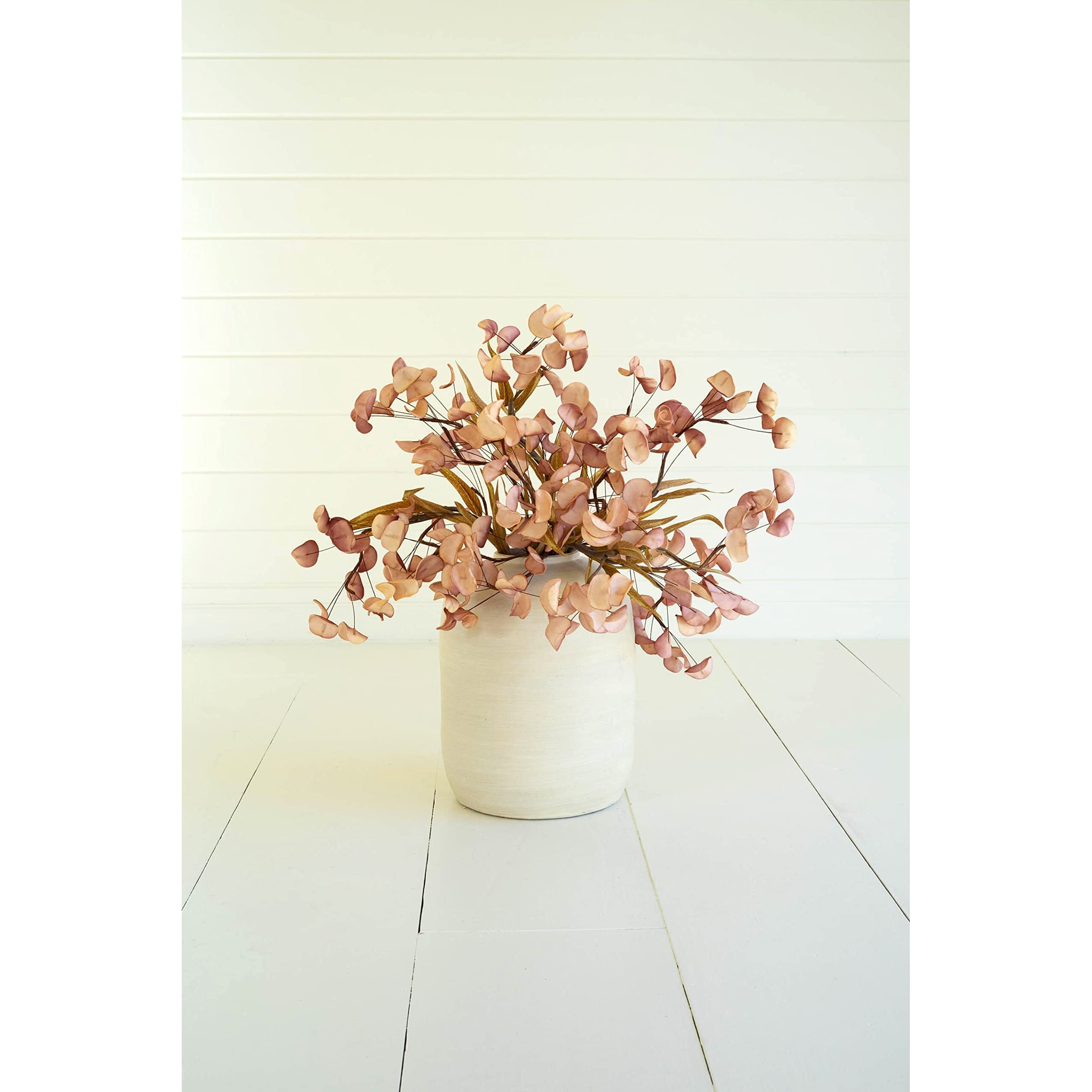 BOTANICA 3430