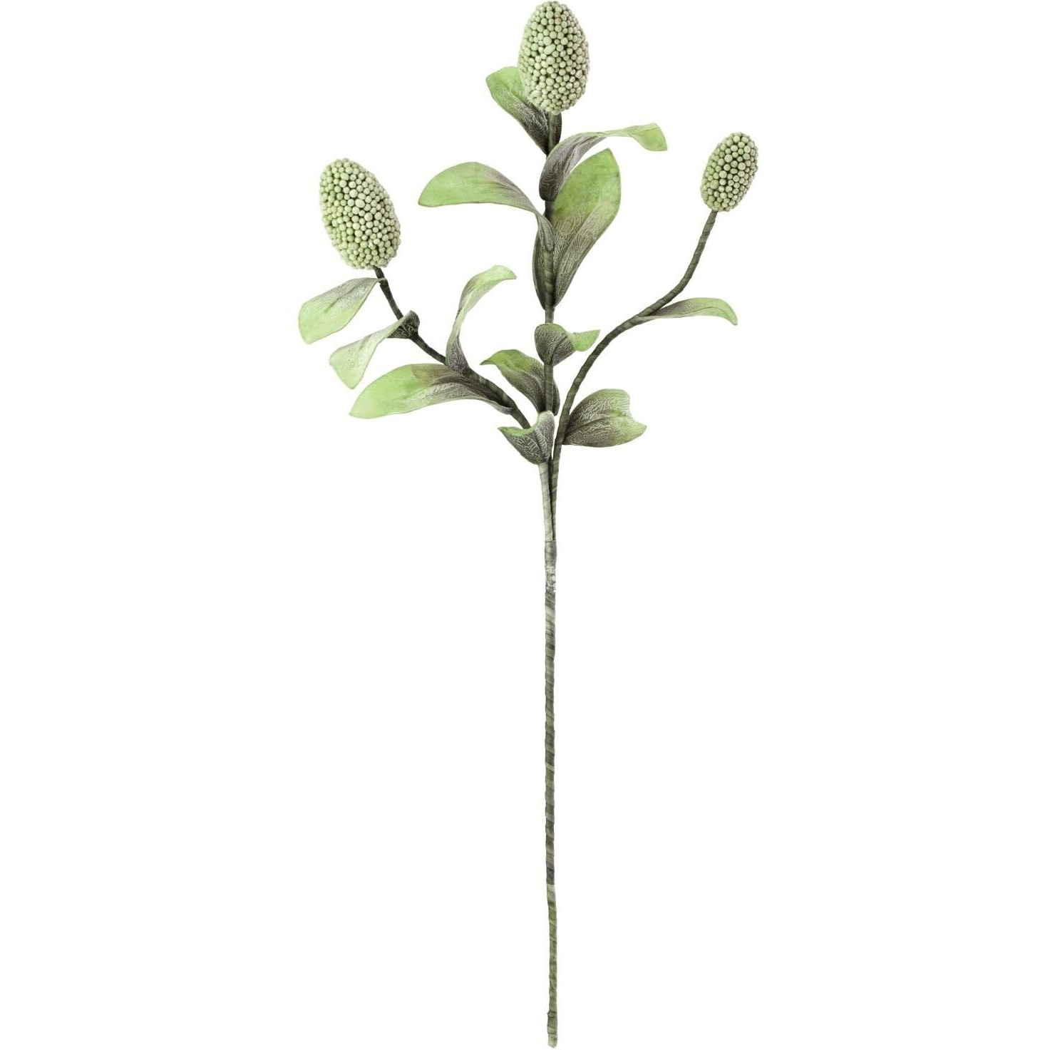 BOTANICA 2065