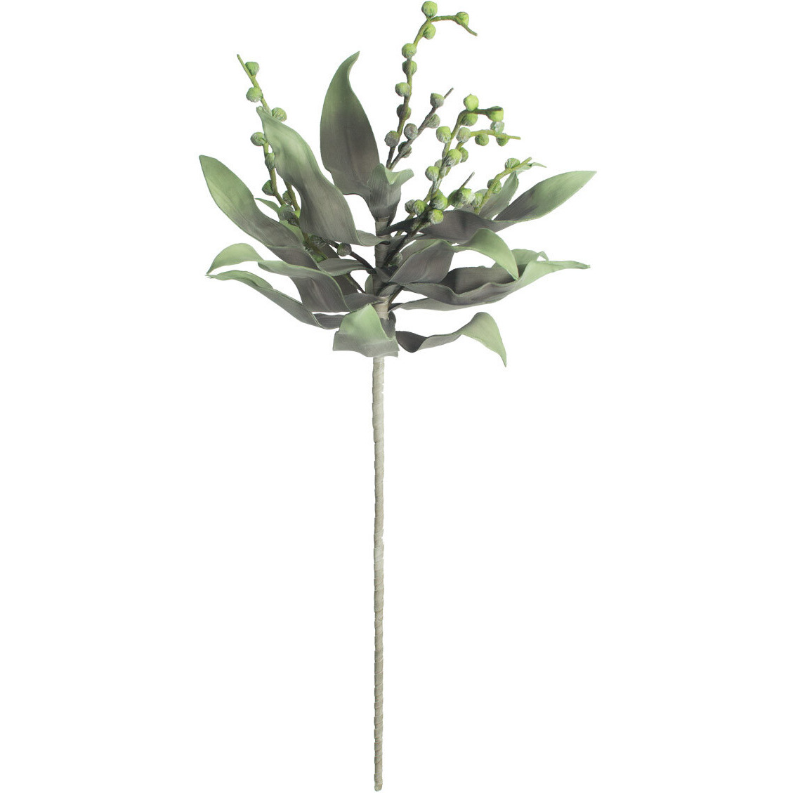 BOTANICA 2194