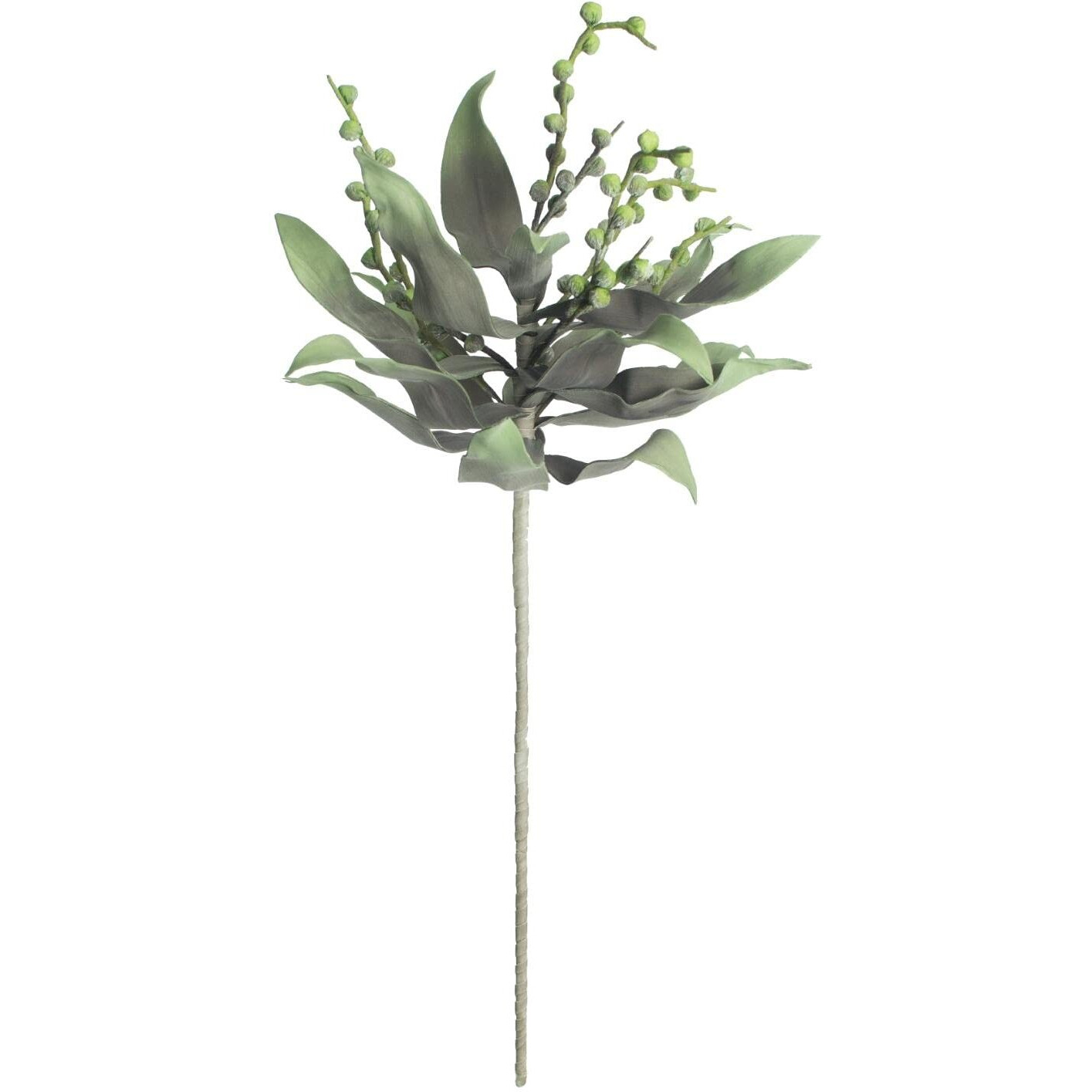 BOTANICA 2194