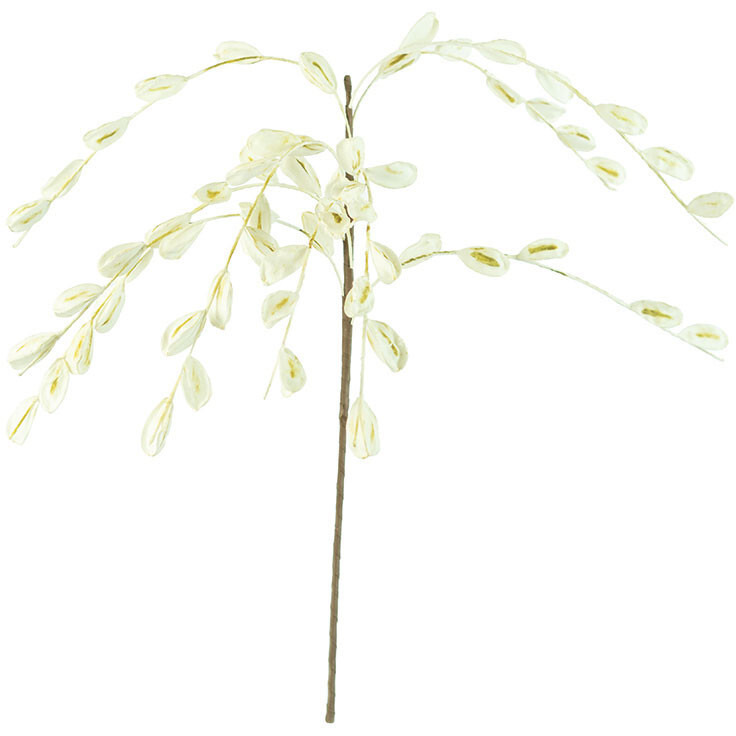 BOTANICA 2385