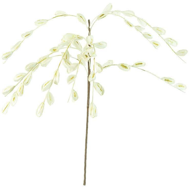 BOTANICA 2385