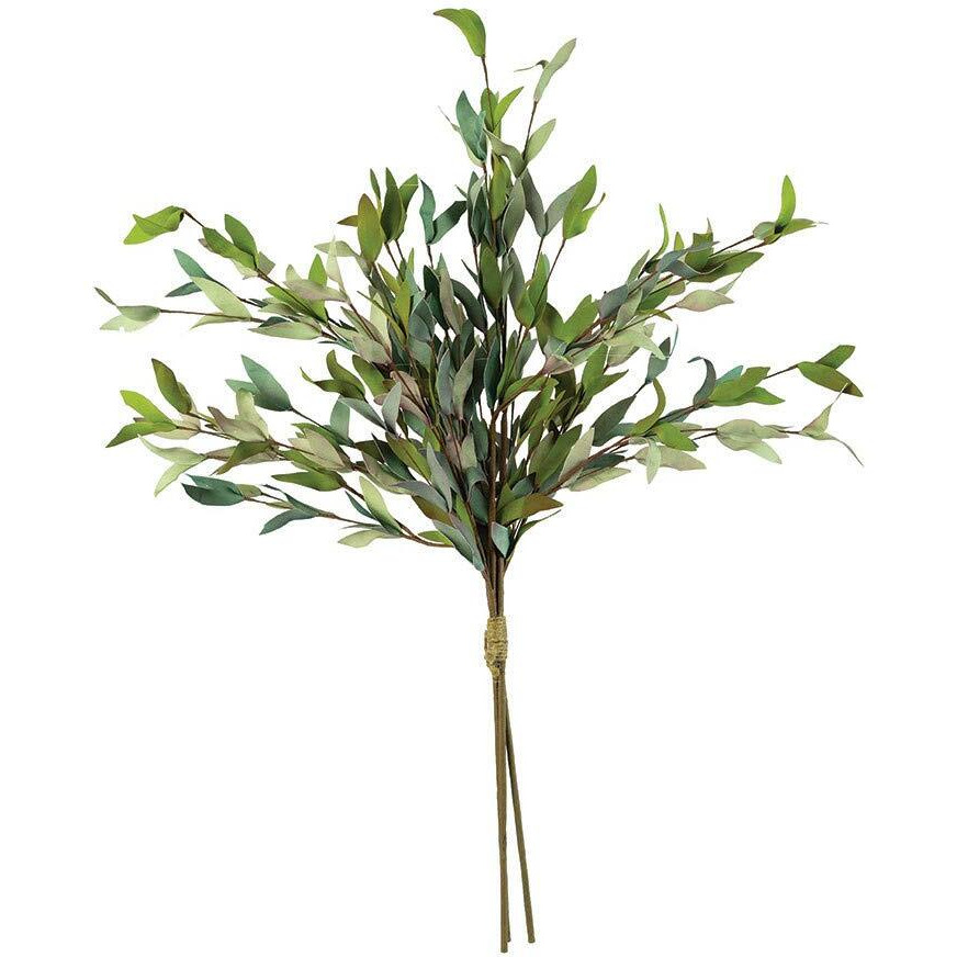 BOTANICA 2397