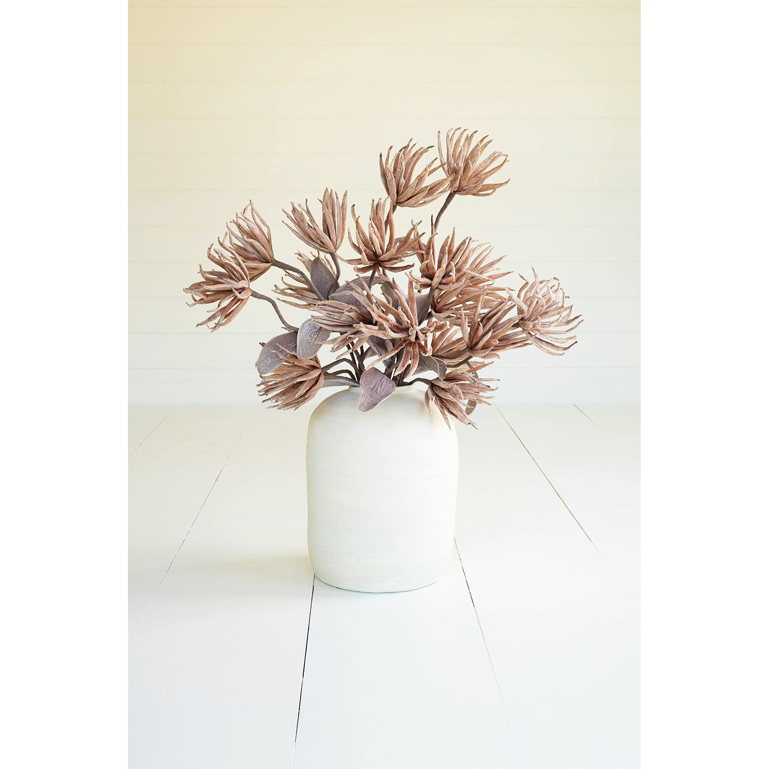 BOTANICA 2664