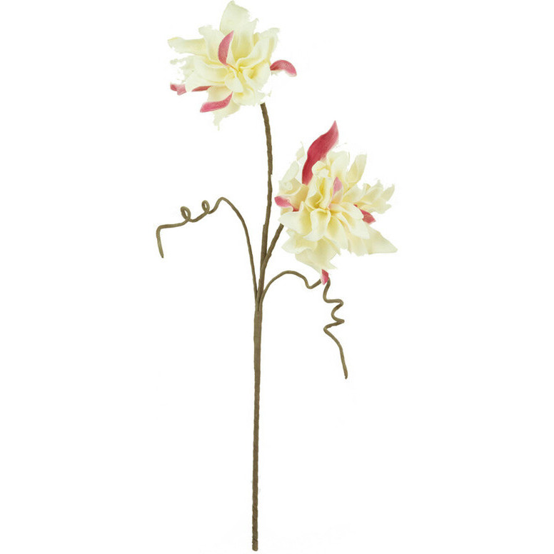 BOTANICA 2666