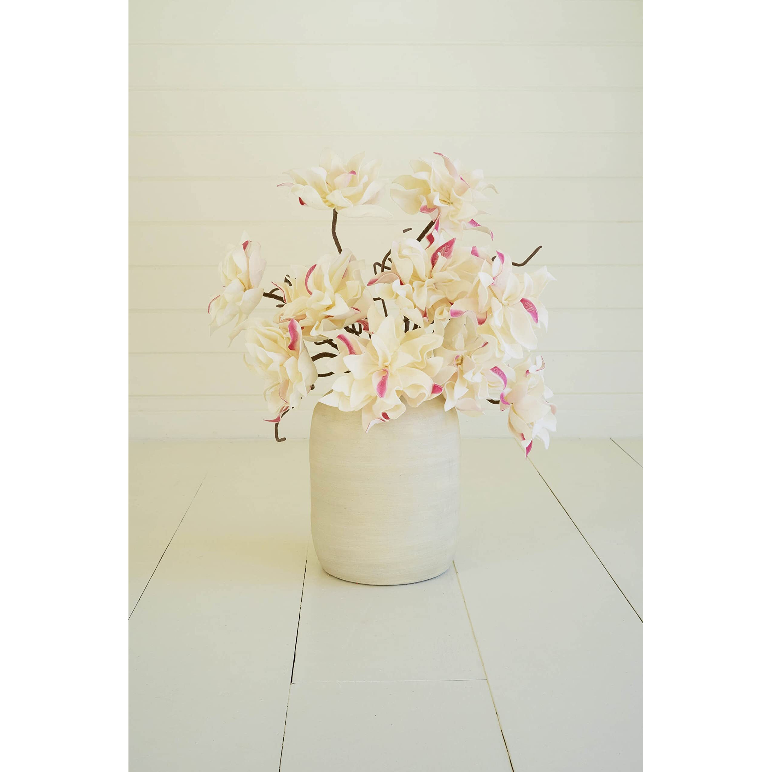 BOTANICA 2666