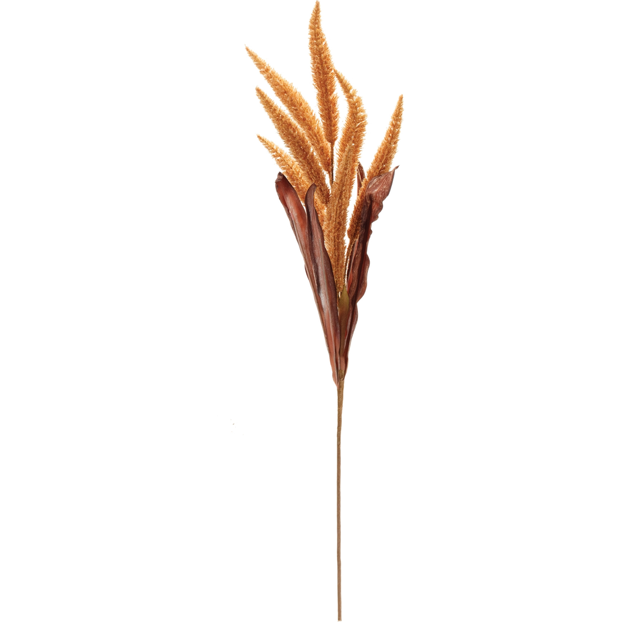 Harvest Foxtail Spray (Set of 2)