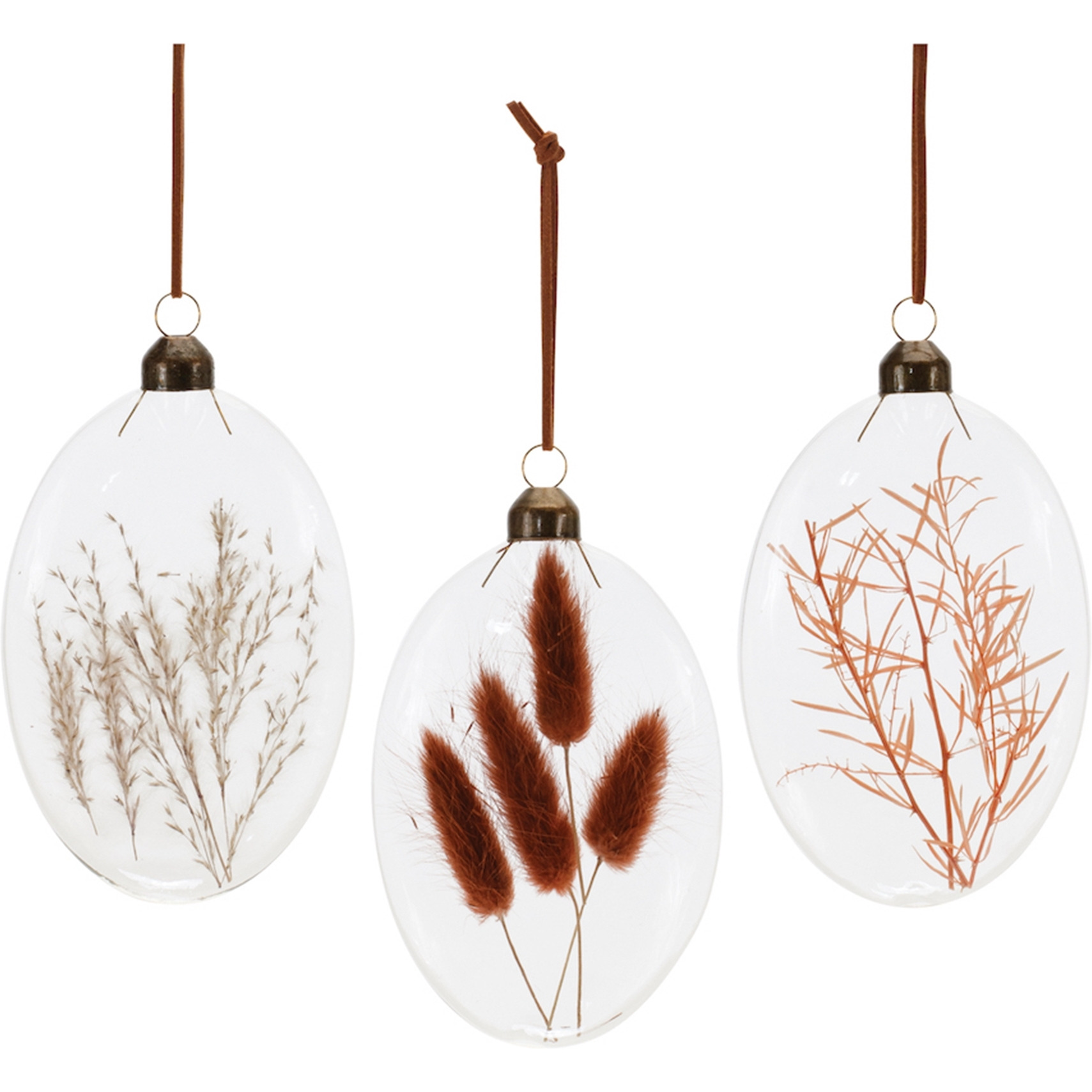 Burgandy Dried Floral Glass Ornament (Set of 12)