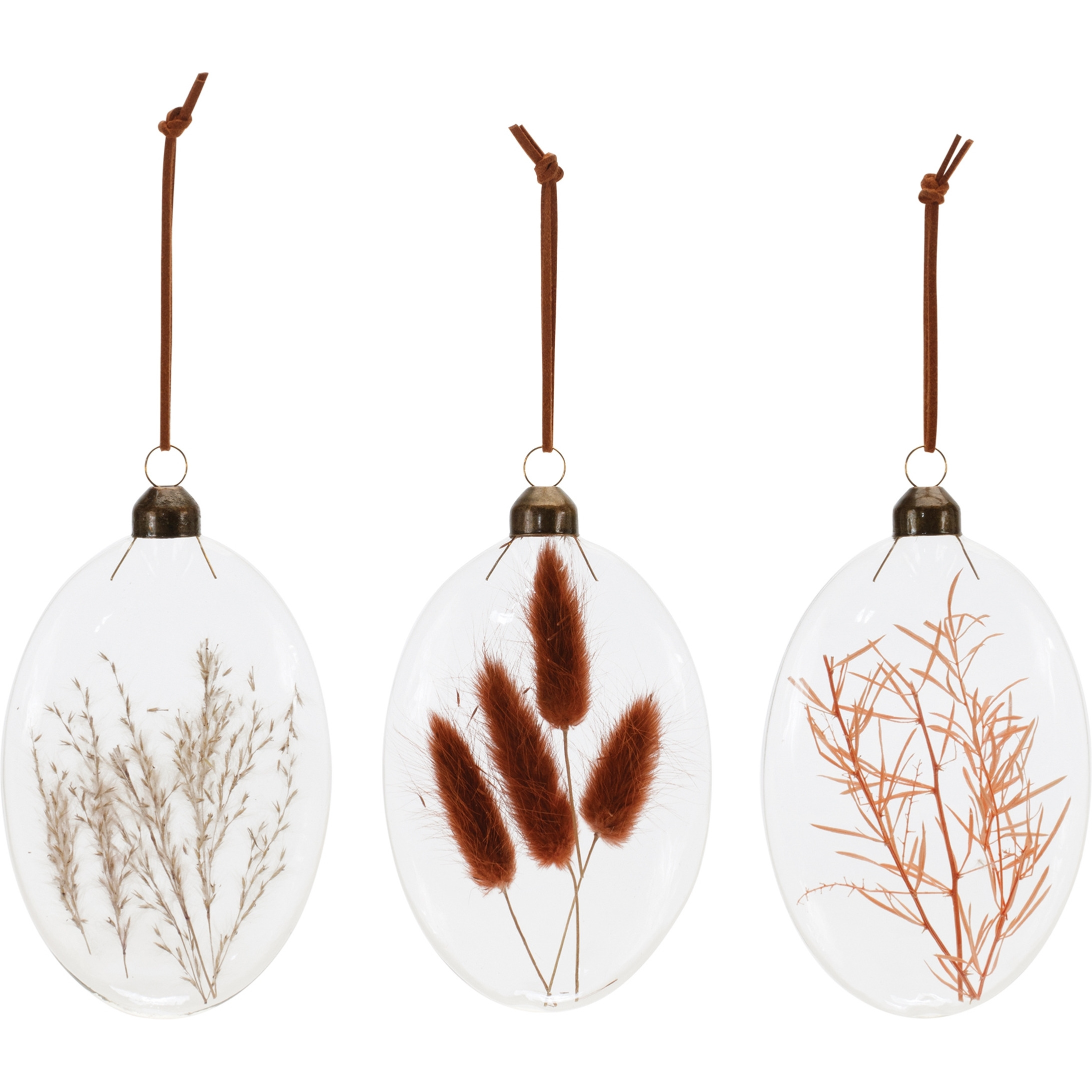Burgandy Dried Floral Glass Ornament (Set of 12)