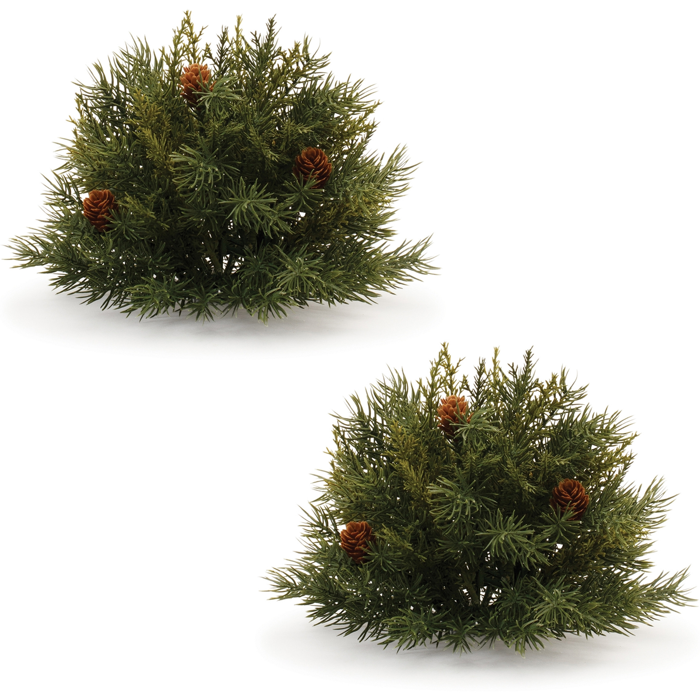 Pine Half Orb with Pinecones (Set of 2)