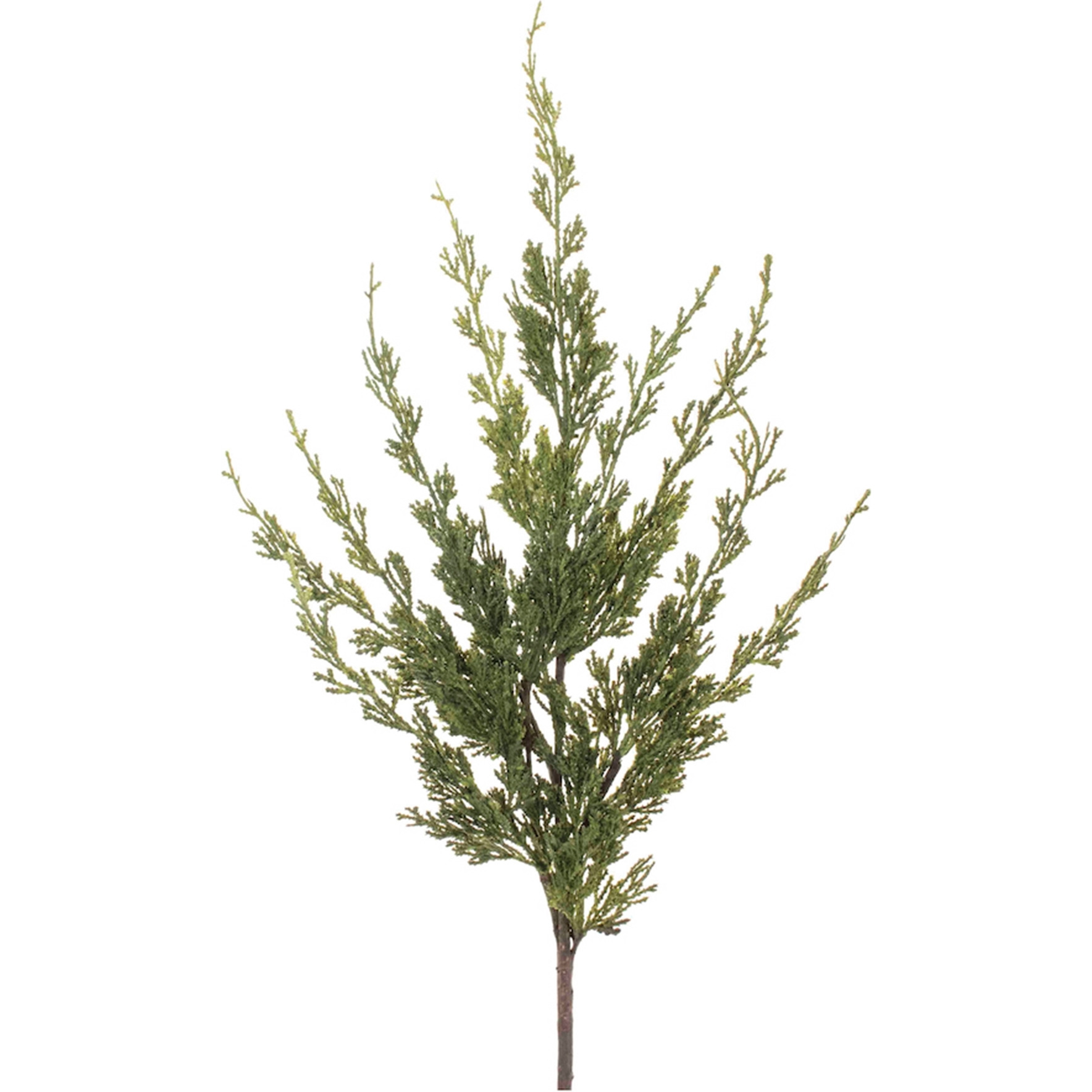 Variegated Pine Spray (Set of 6)