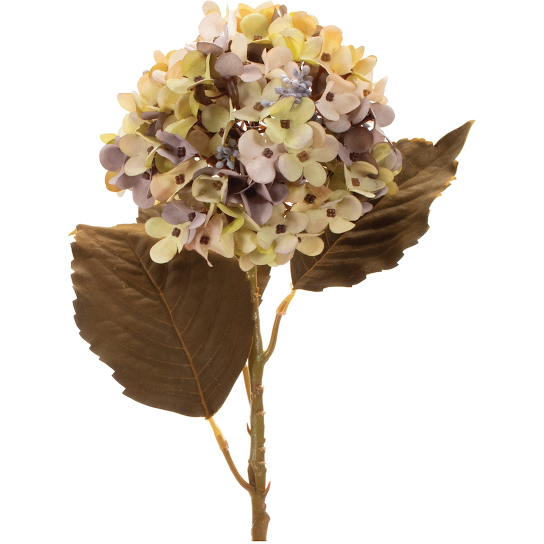 Beige Harvest Hydrangea Stem (Set of 6)