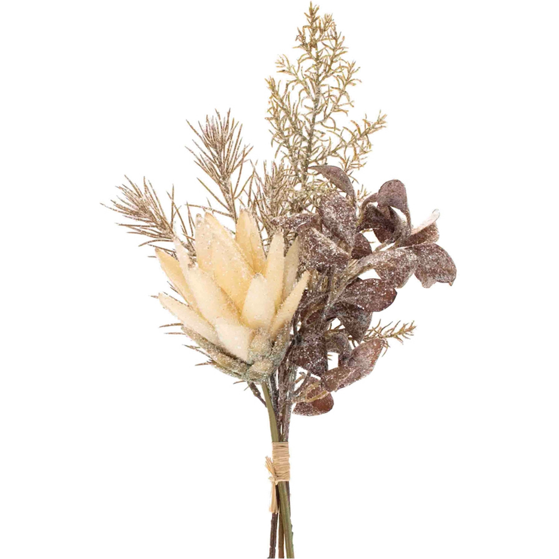 Glittered Protea Pine Bundle (Set of 2)