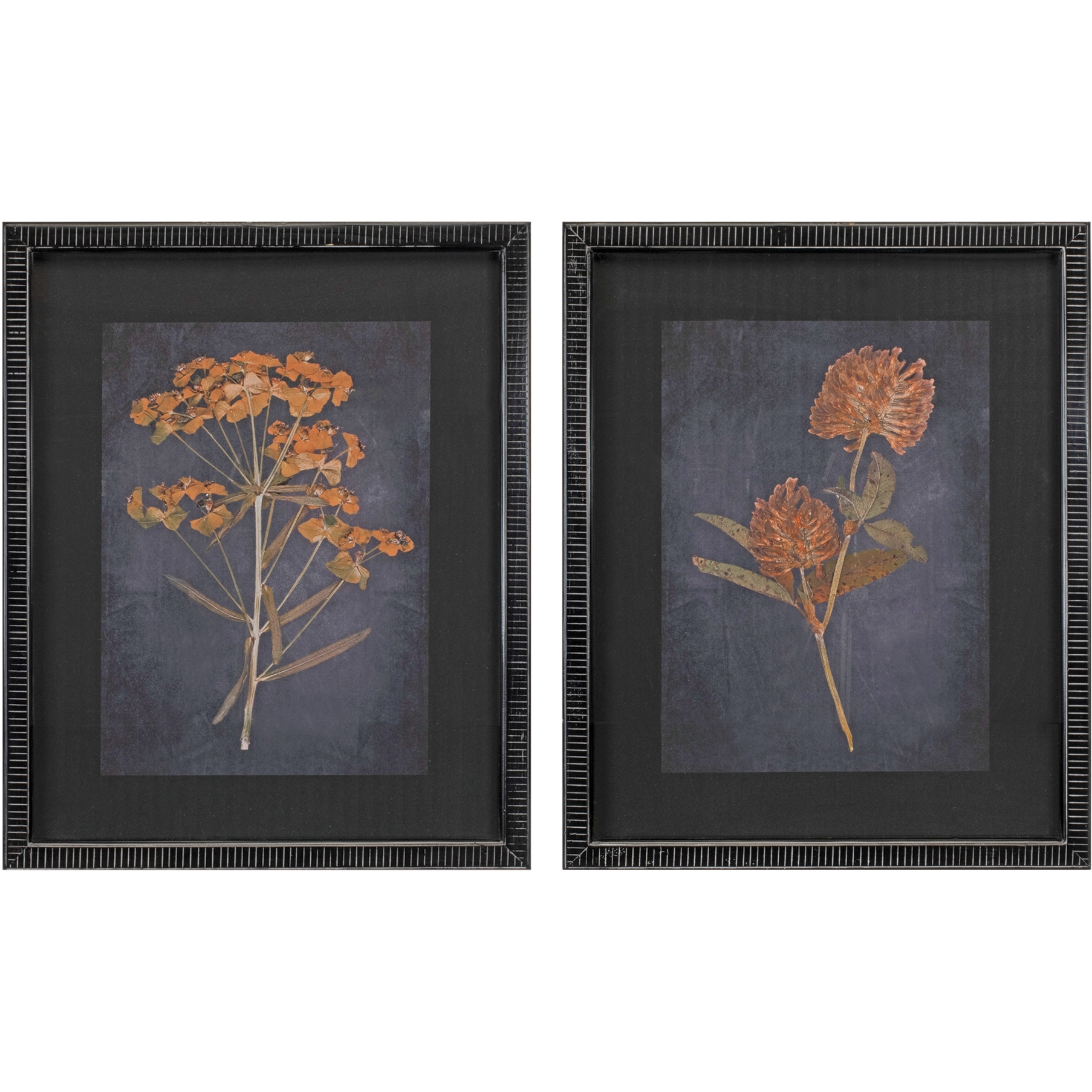 Wood Framed Botanical Print (Set of 2)