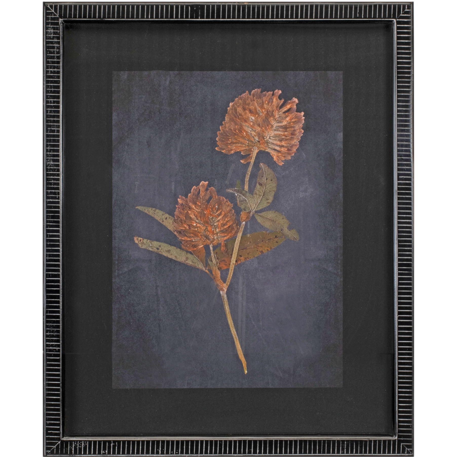 Wood Framed Botanical Print (Set of 2)