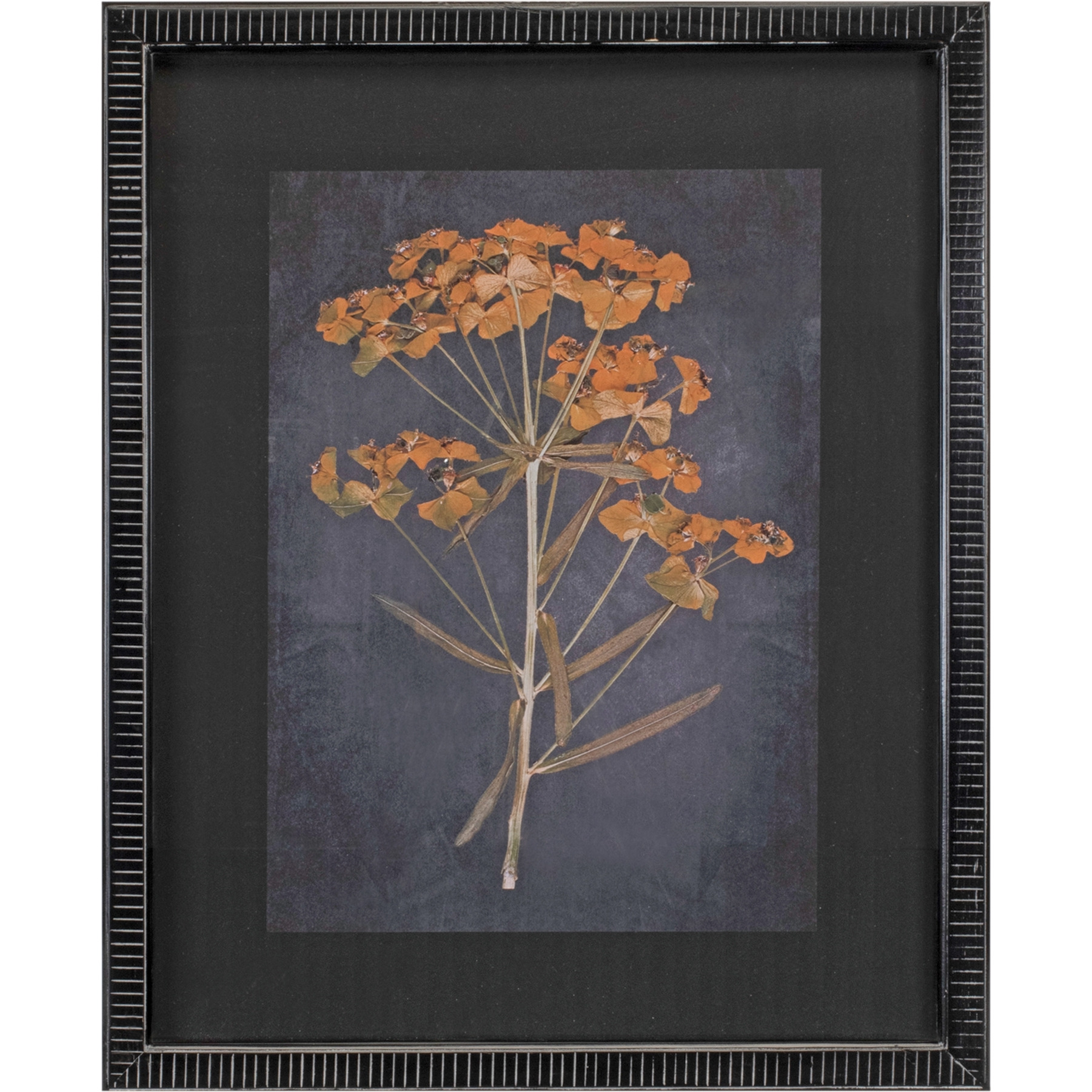 Wood Framed Botanical Print (Set of 2)