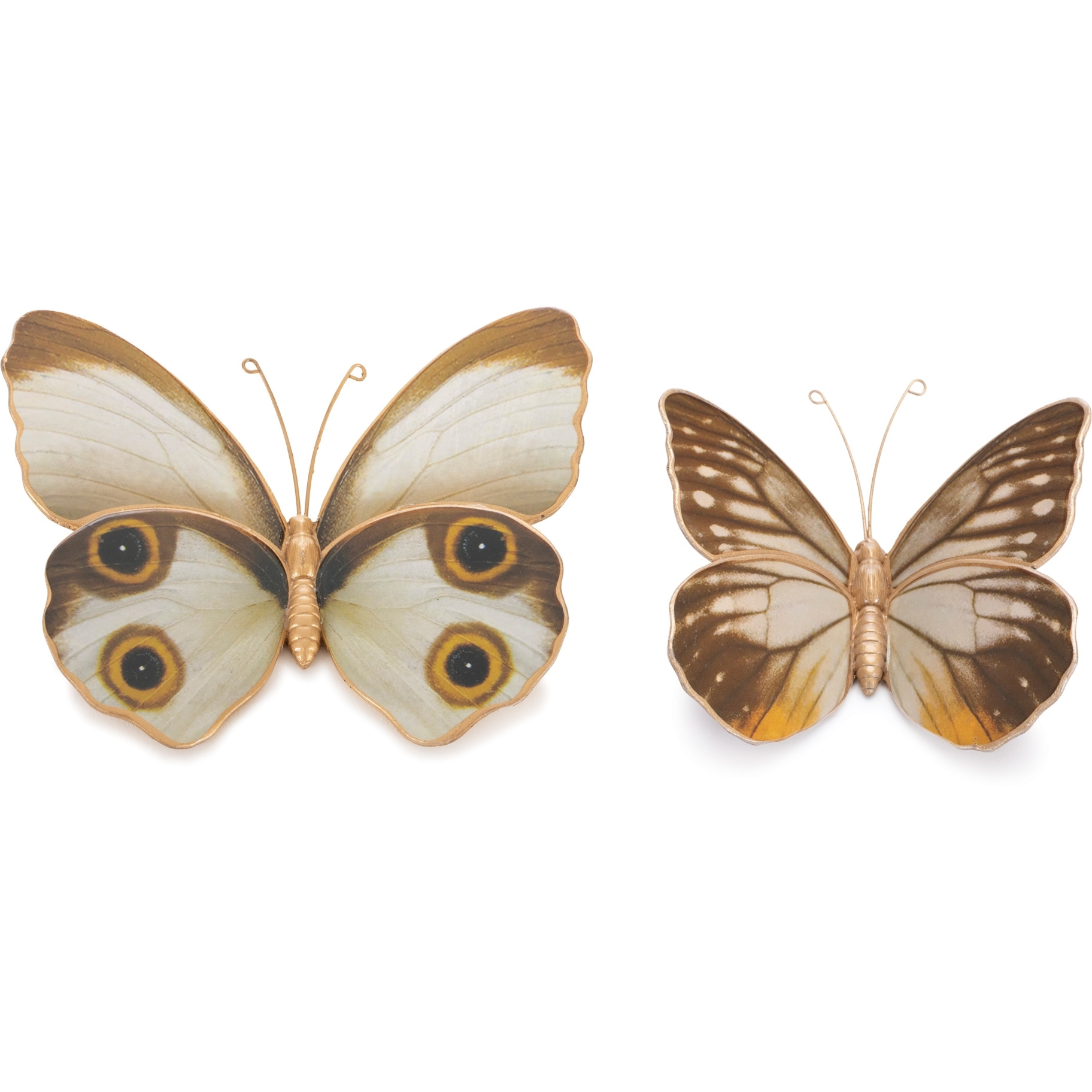 Amber Butterfly and Moth Shelf Sitter (Set of 2)