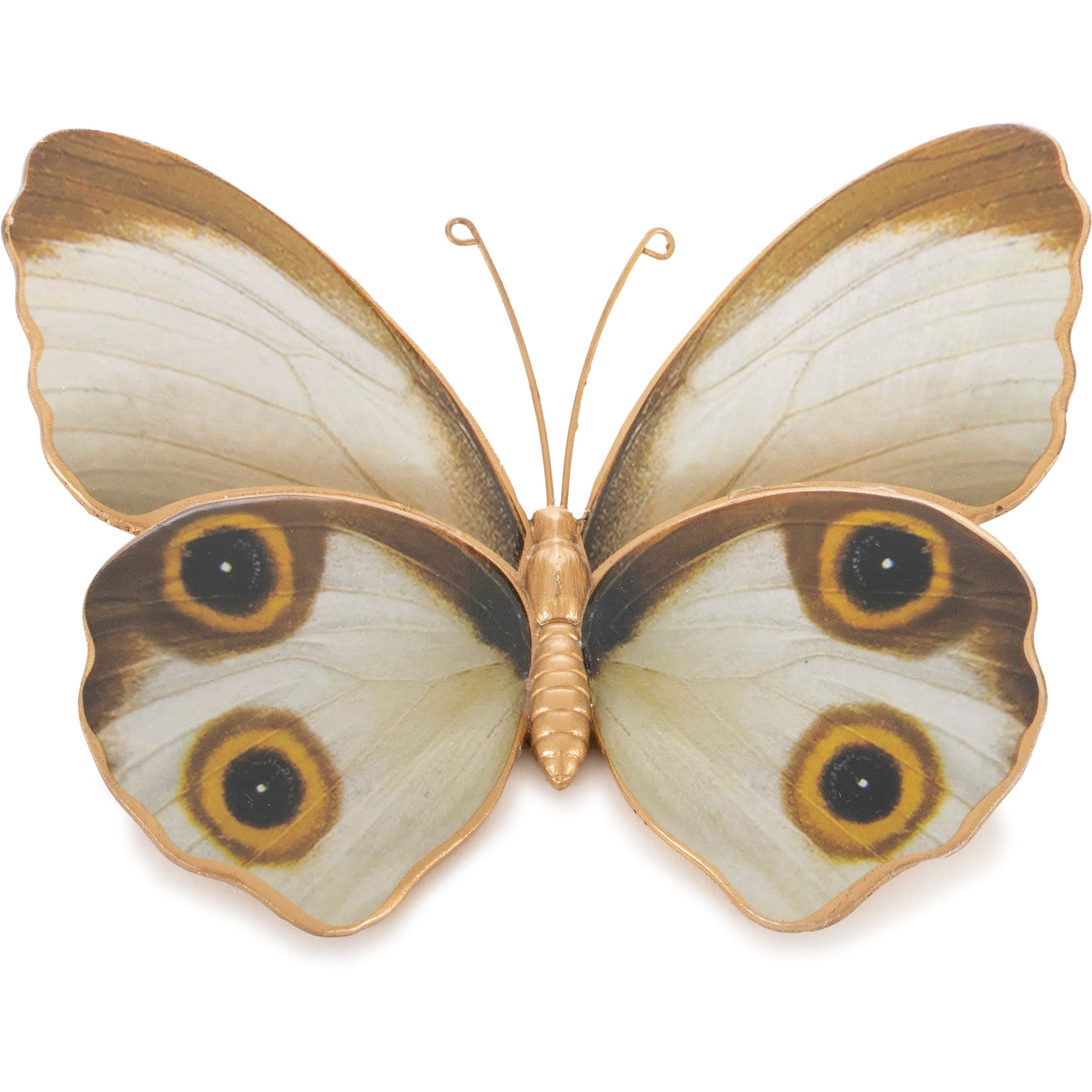 Amber Butterfly and Moth Shelf Sitter (Set of 2)