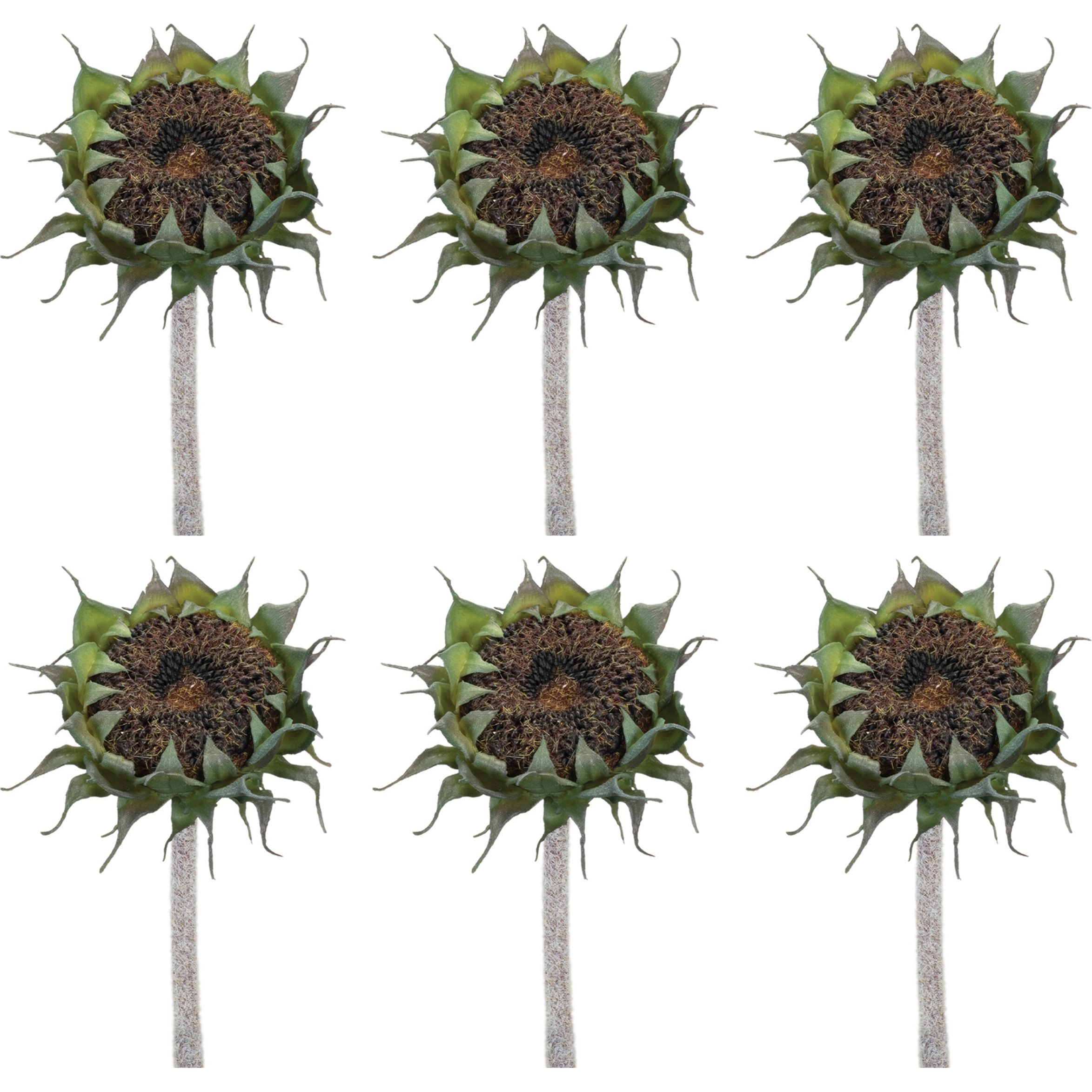 Brown Sunflower Stem (Set of 6)