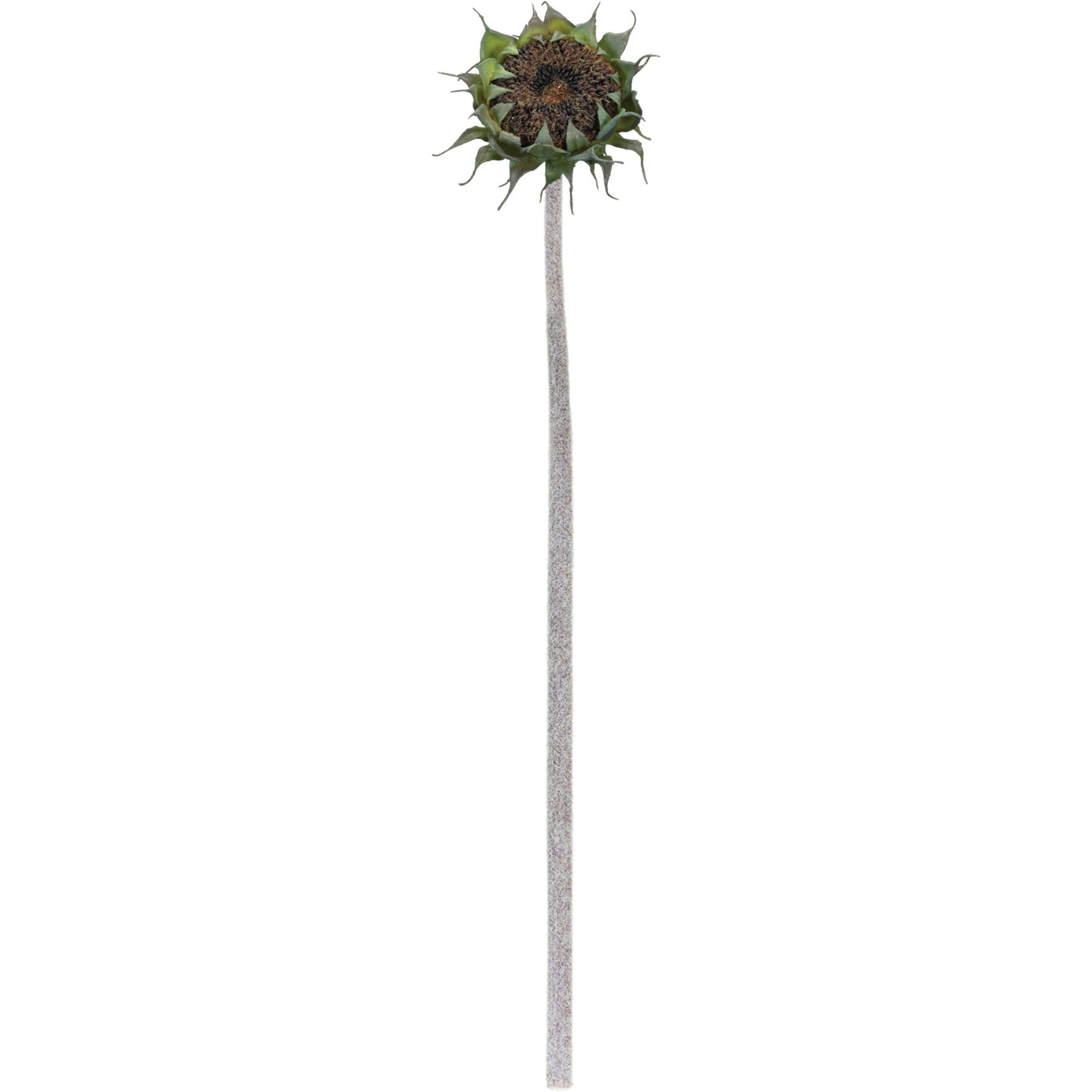 Brown Sunflower Stem (Set of 6)