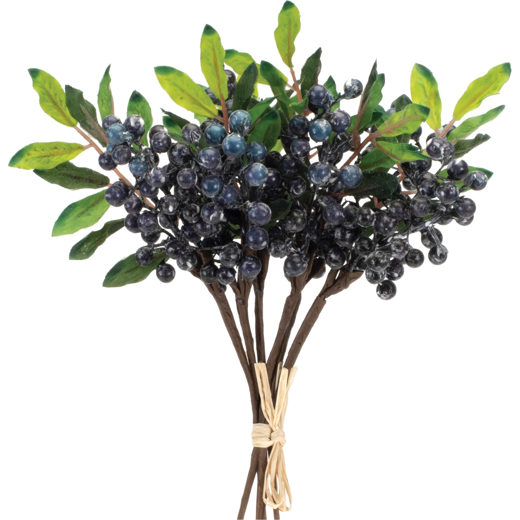 Blue Berry Foliage Bundle (Set of 2)