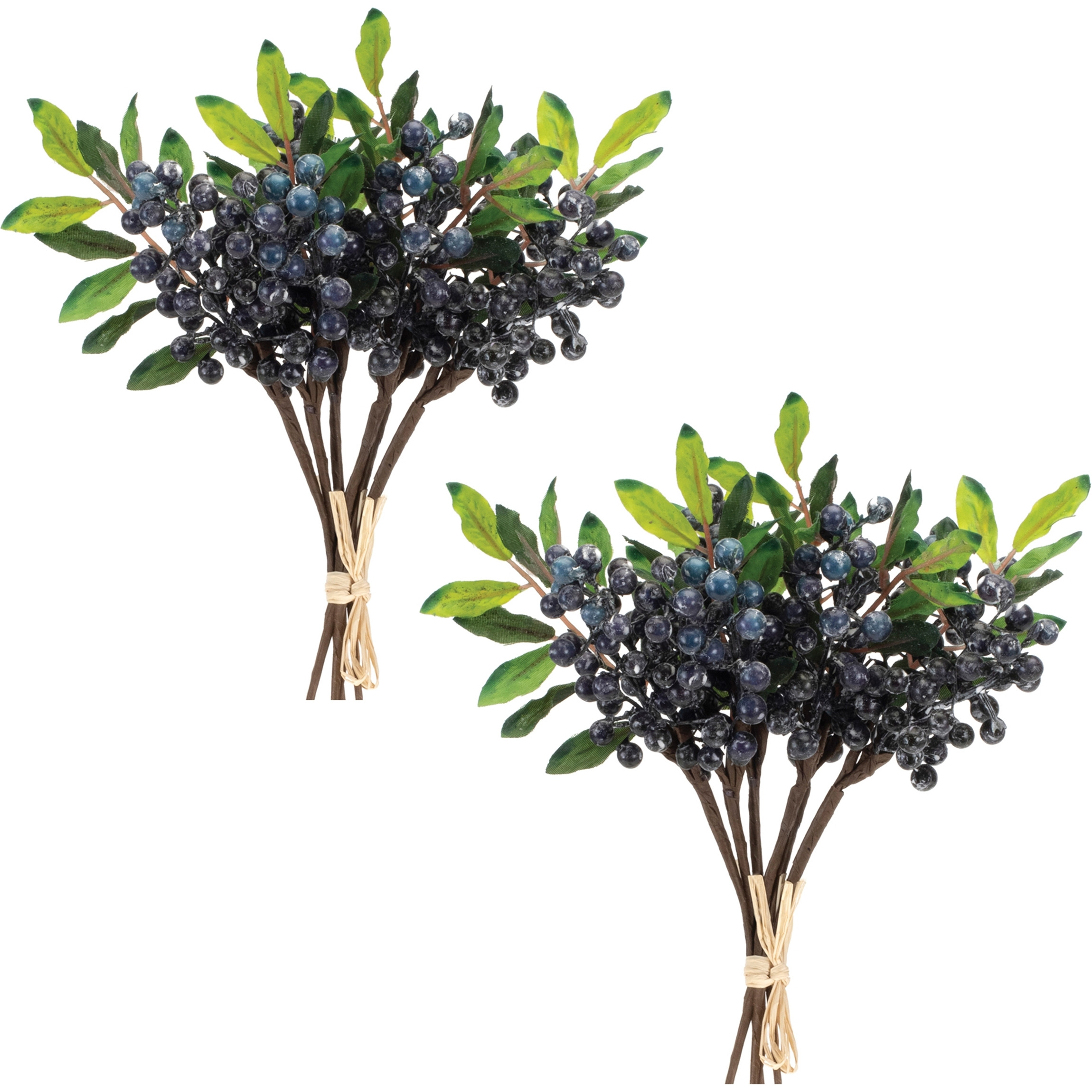 Blue Berry Foliage Bundle (Set of 2)