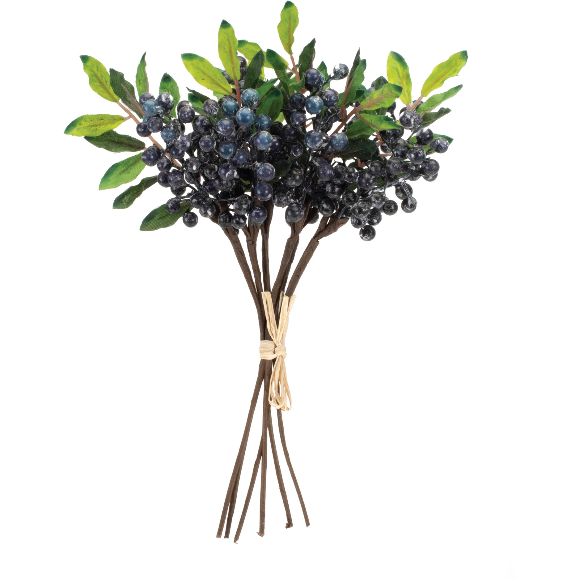 Blue Berry Foliage Bundle (Set of 2)