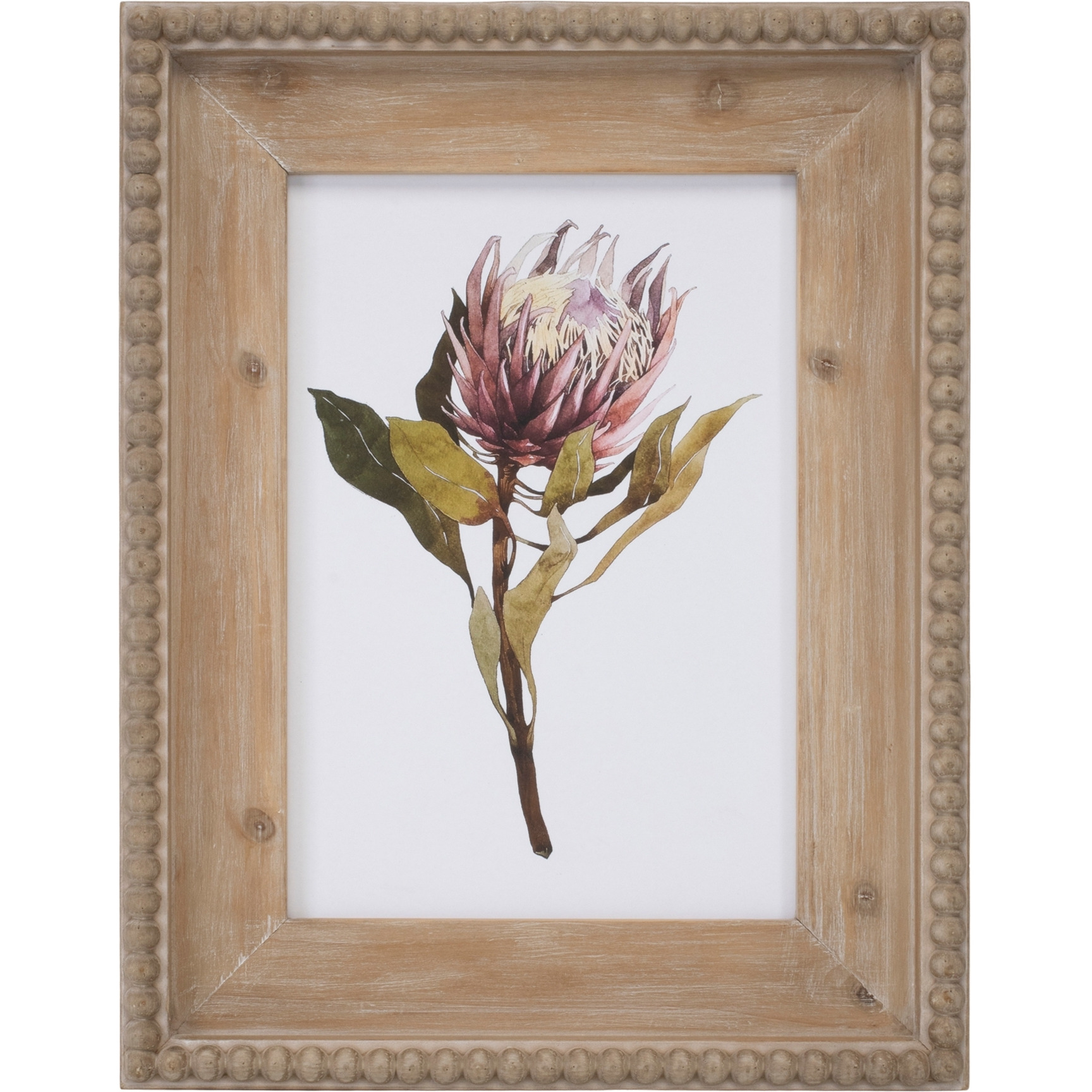 Wood Framed Protea Floral Print (Set of 2)