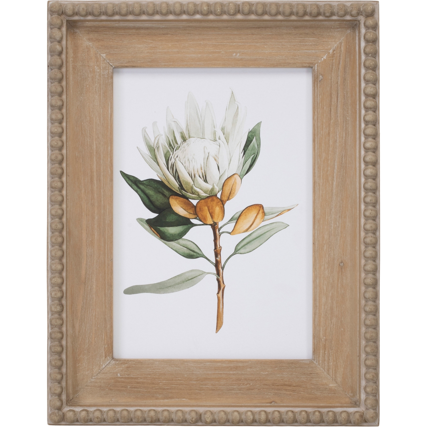 Wood Framed Protea Floral Print (Set of 2)