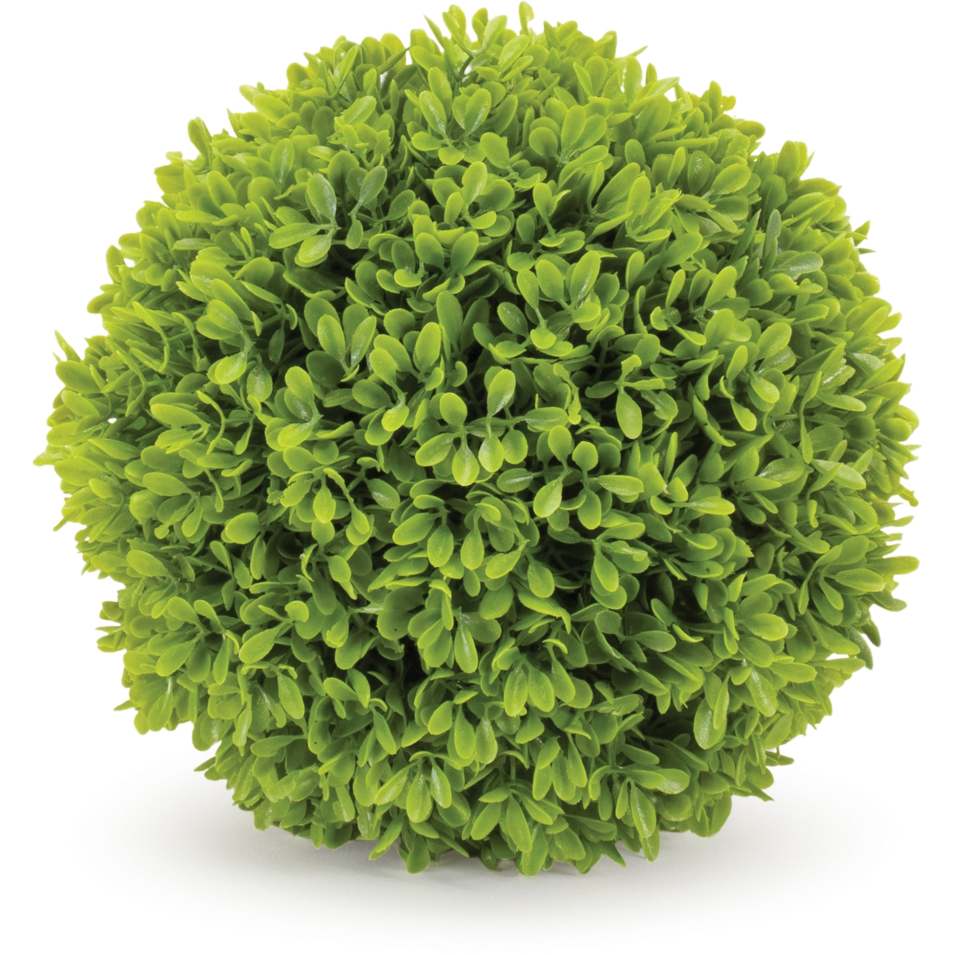 Boxwood Foliage Orb (Set of 2)