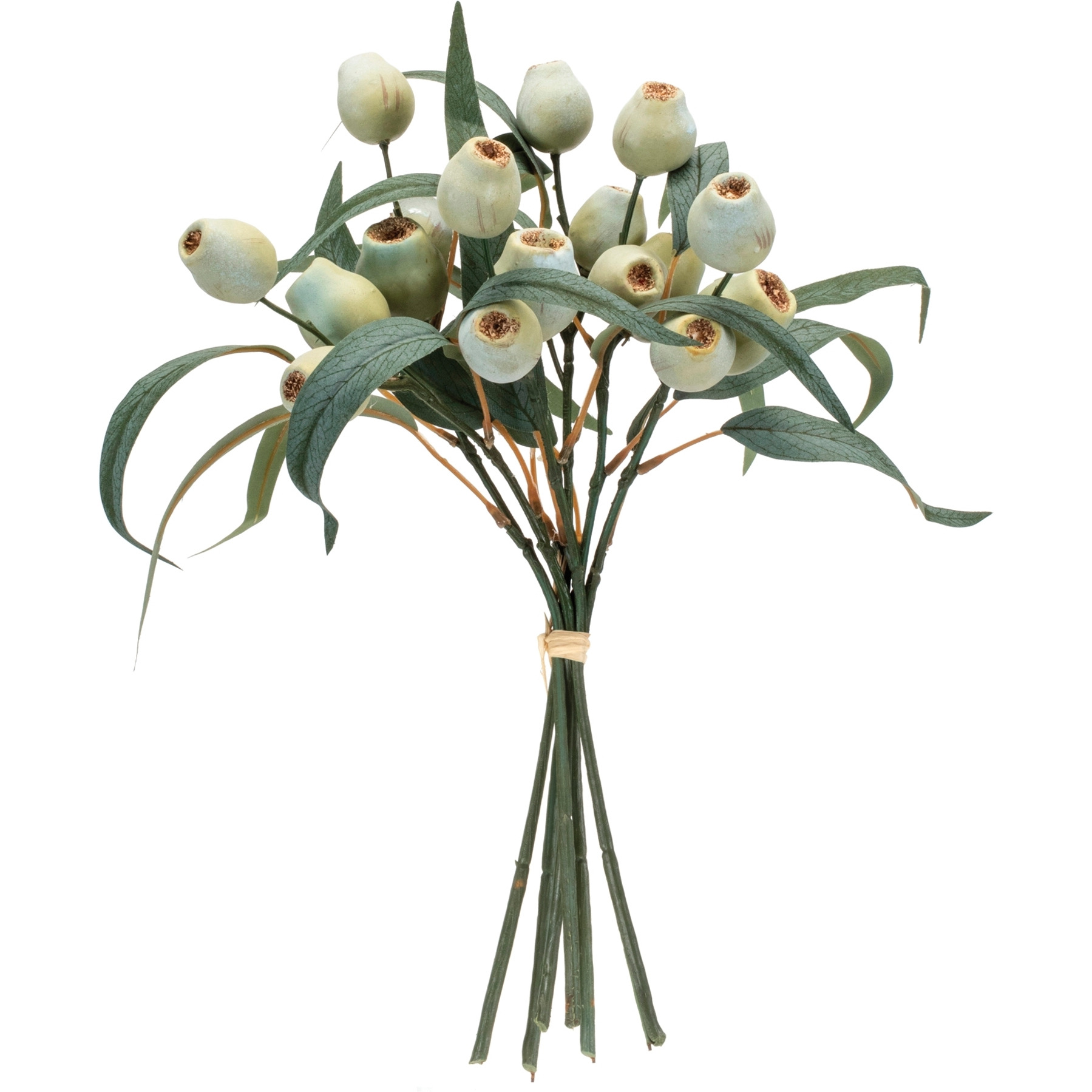 Green Pod Foliage Bundle (Set of 2)