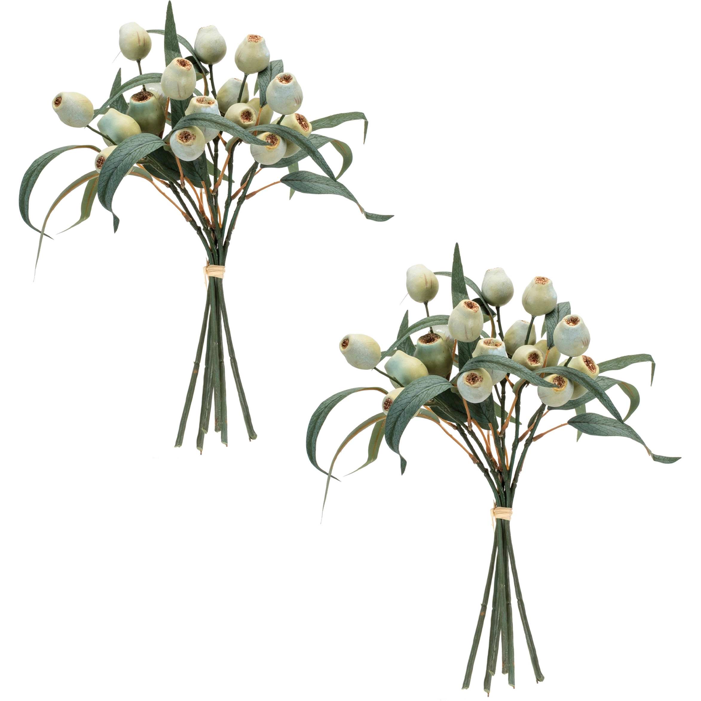 Green Pod Foliage Bundle (Set of 2)
