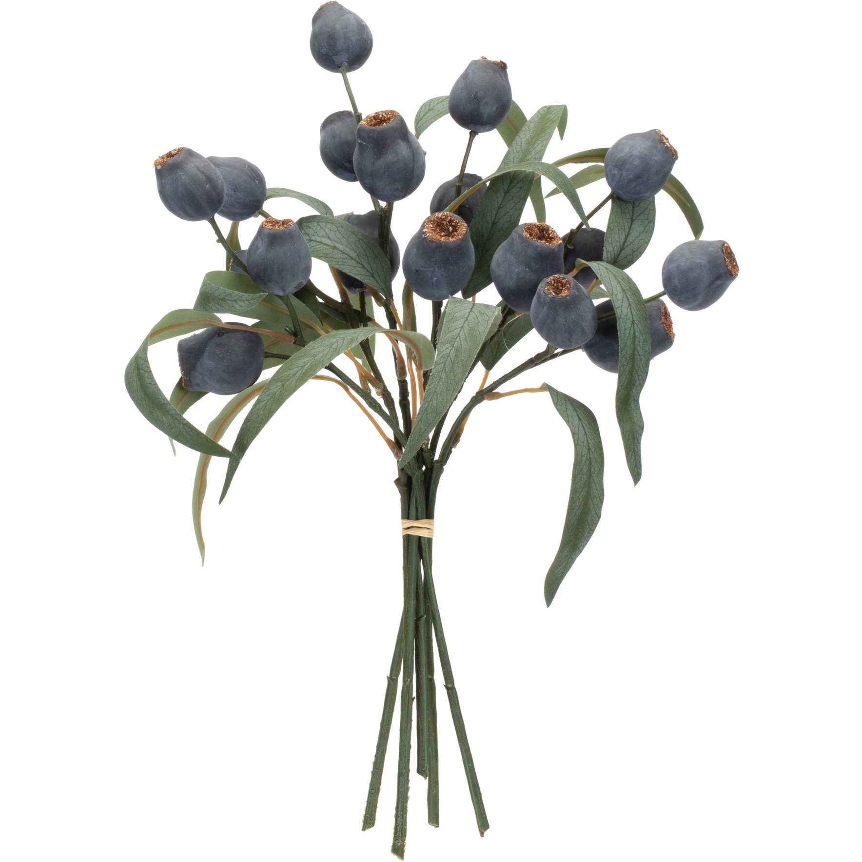 Blue Pod Foliage Bundle (Set of 2)