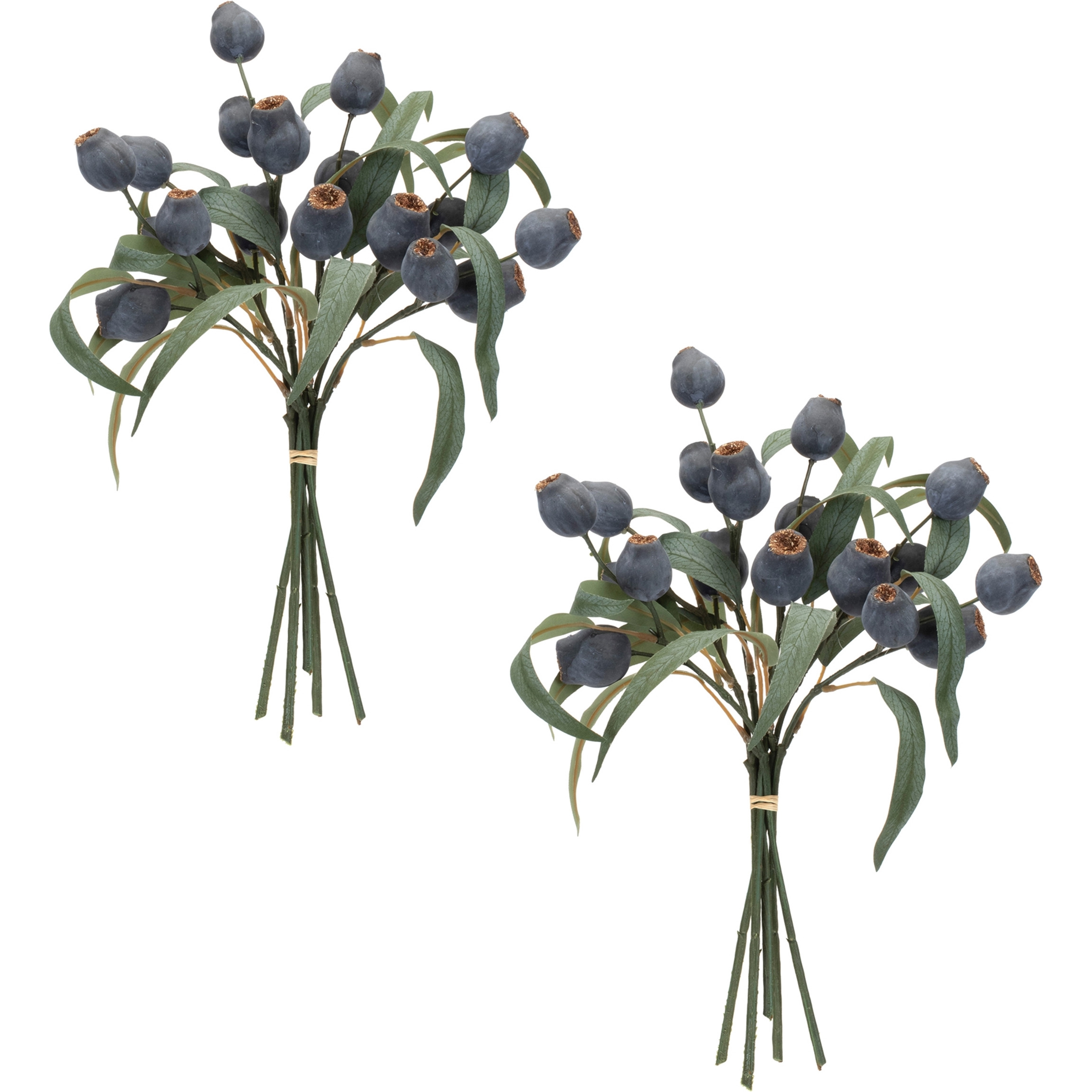 Blue Pod Foliage Bundle (Set of 2)