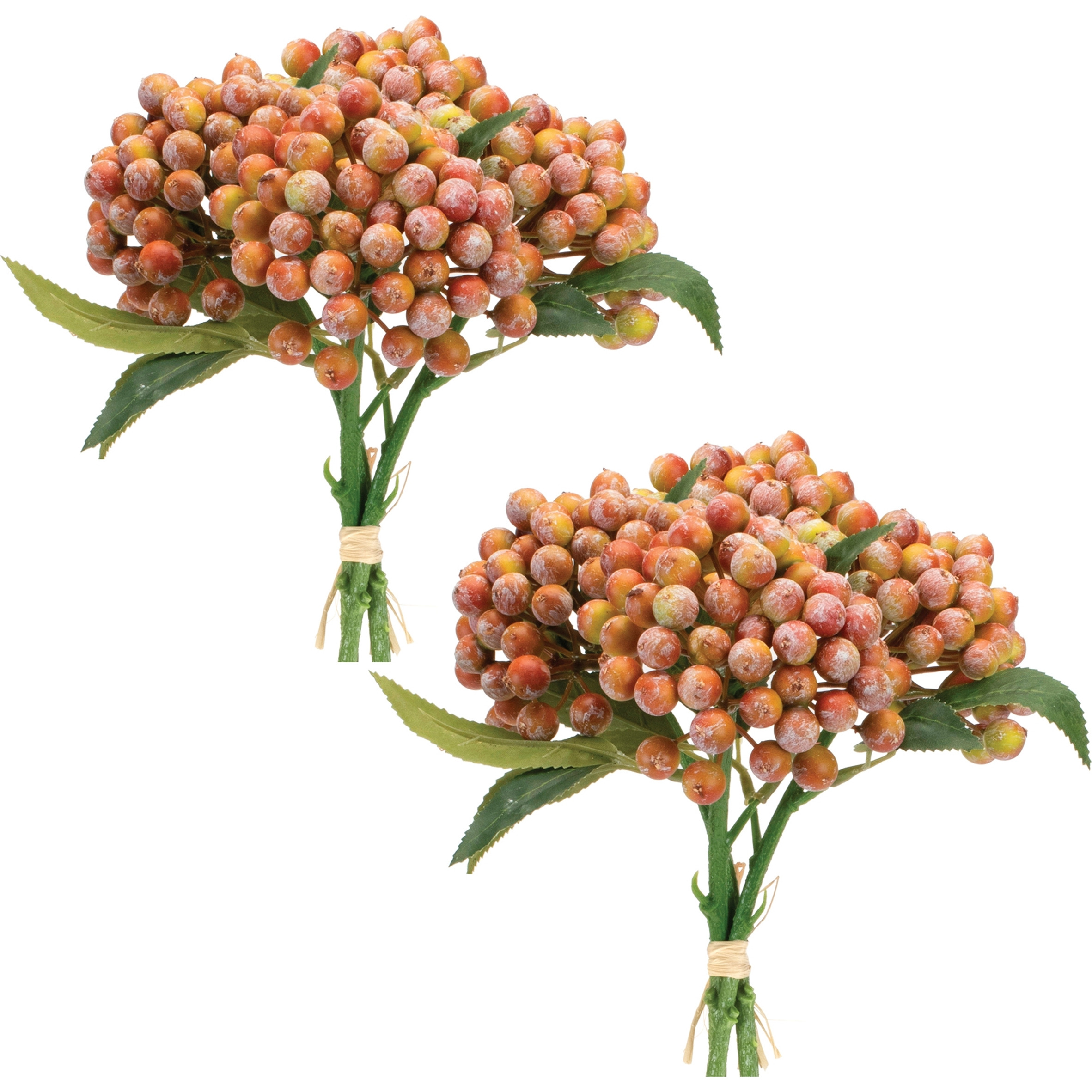 Orange Berry Bundle (Set of 2)