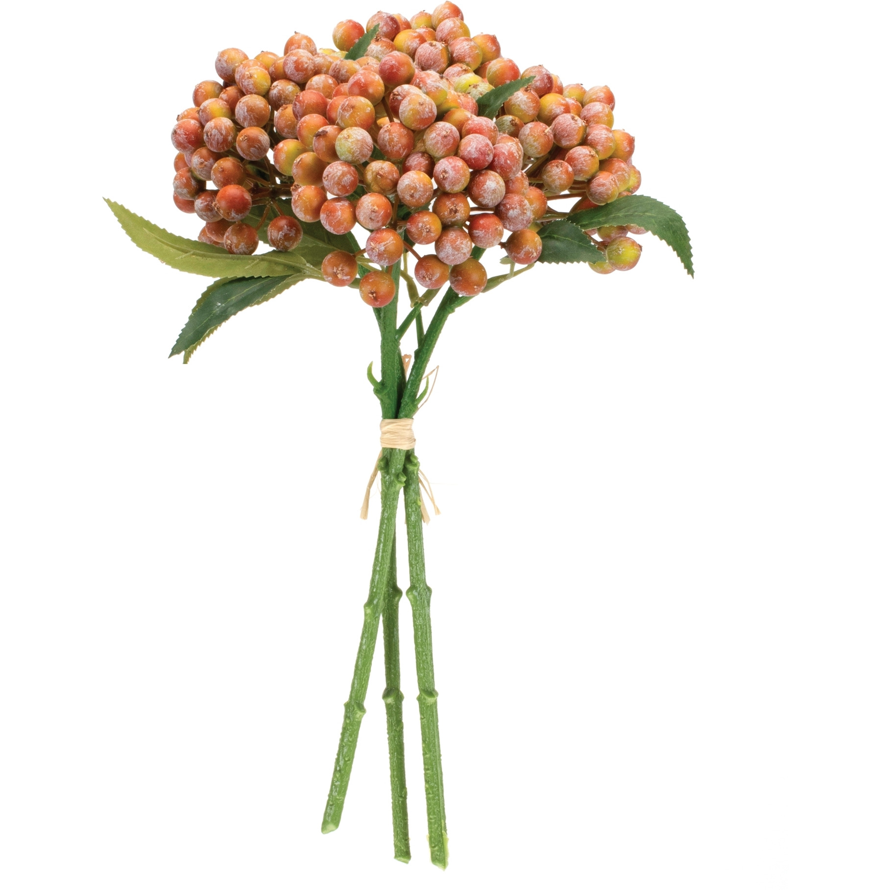 Orange Berry Bundle (Set of 2)