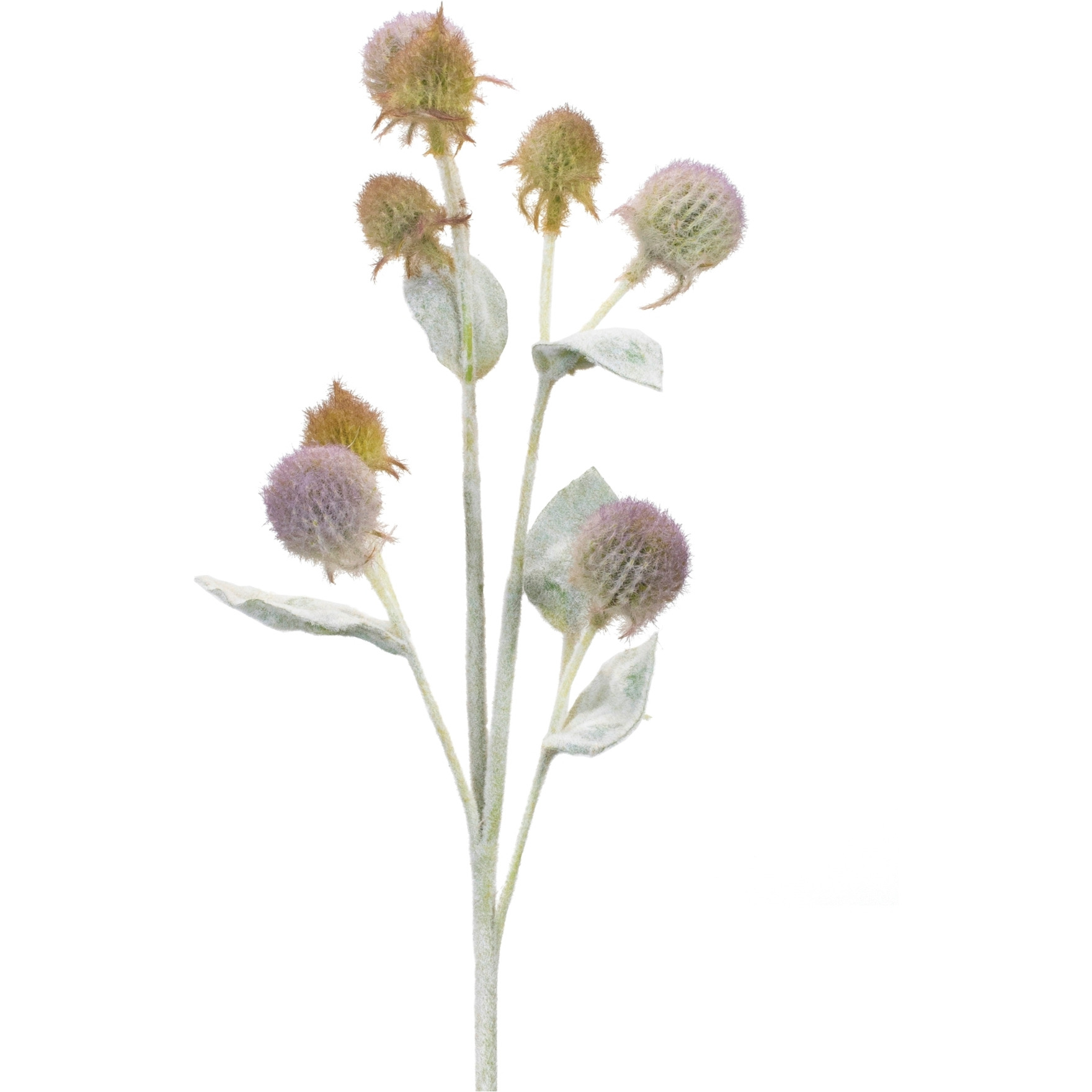 Thistle Foliage Spray (Set of 6)