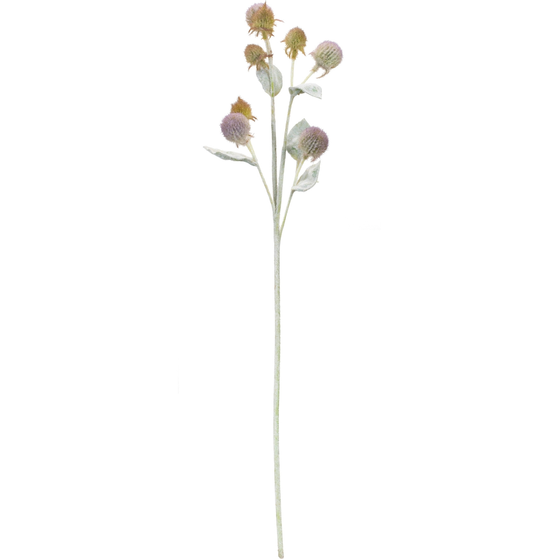 Thistle Foliage Spray (Set of 6)
