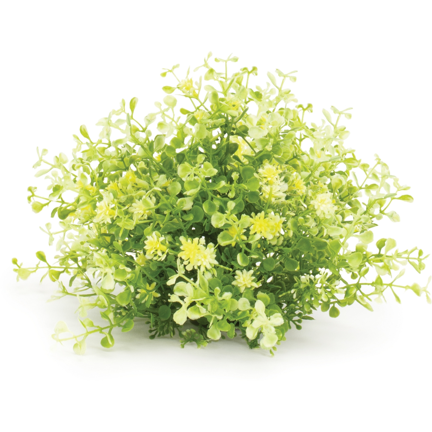 Mini Leaf Foliage Half Orb (Set of 2)