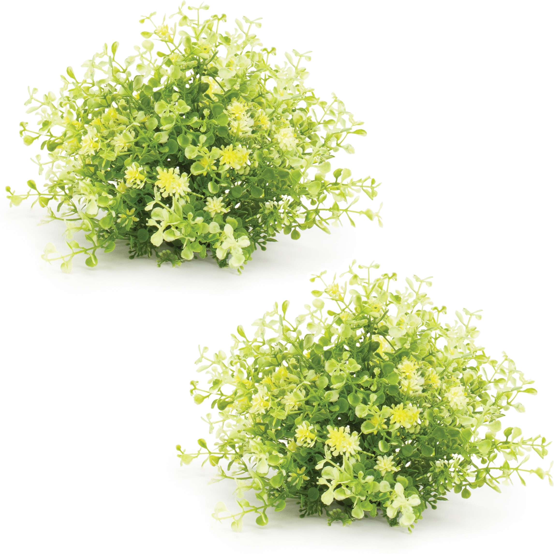Mini Leaf Foliage Half Orb (Set of 2)