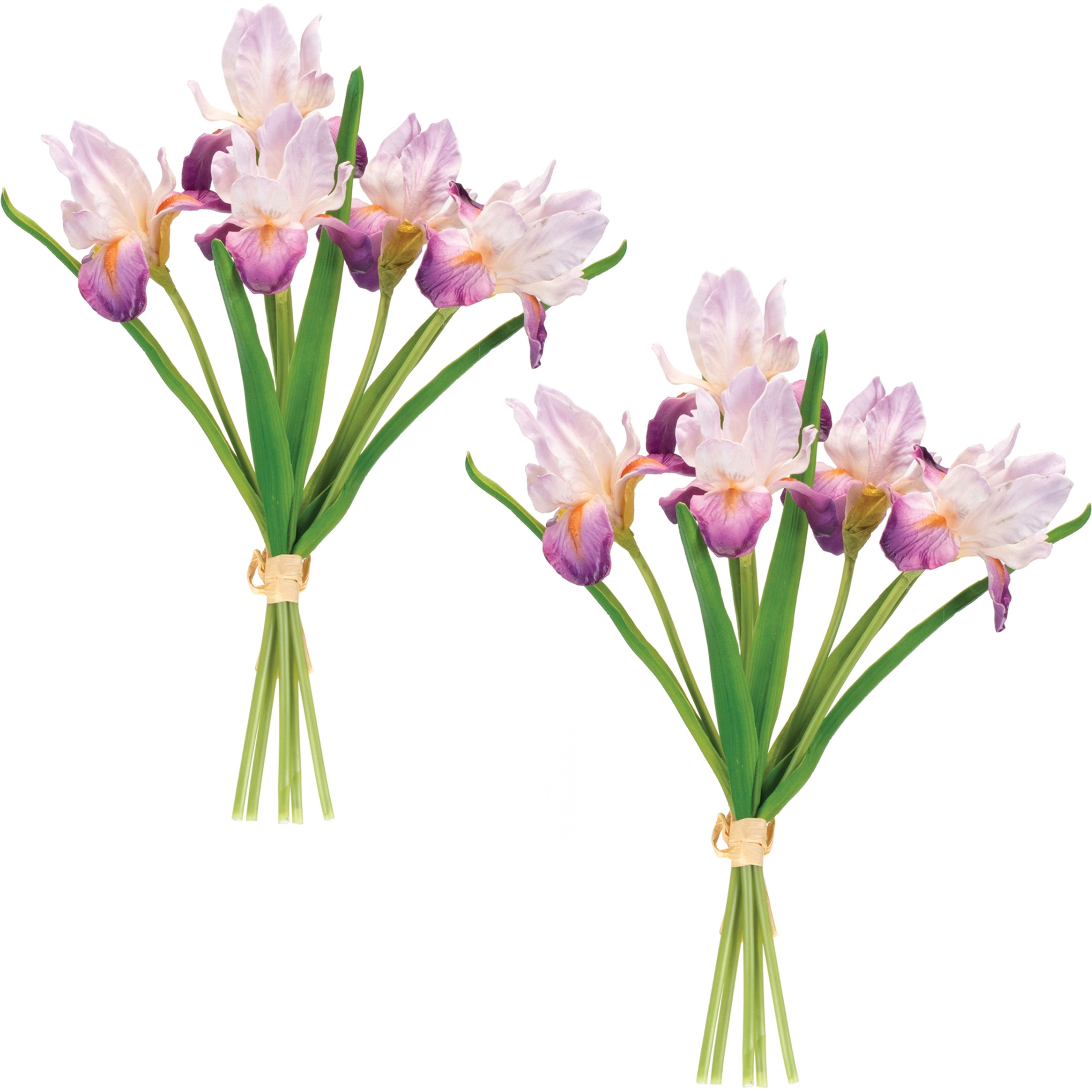 Purple Iris Floral Bundle (Set of 2)