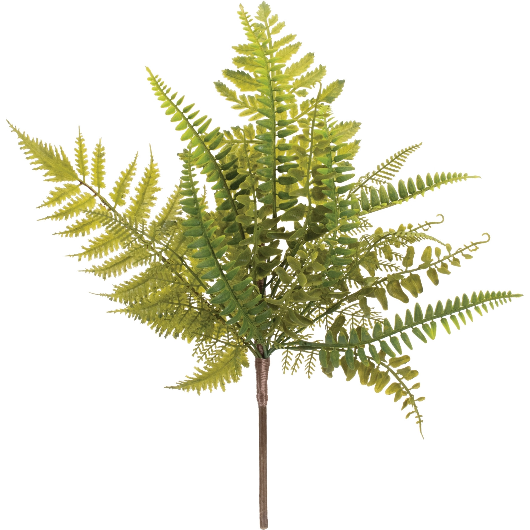 Mixed Fern Foliage Spray (Set of 6)